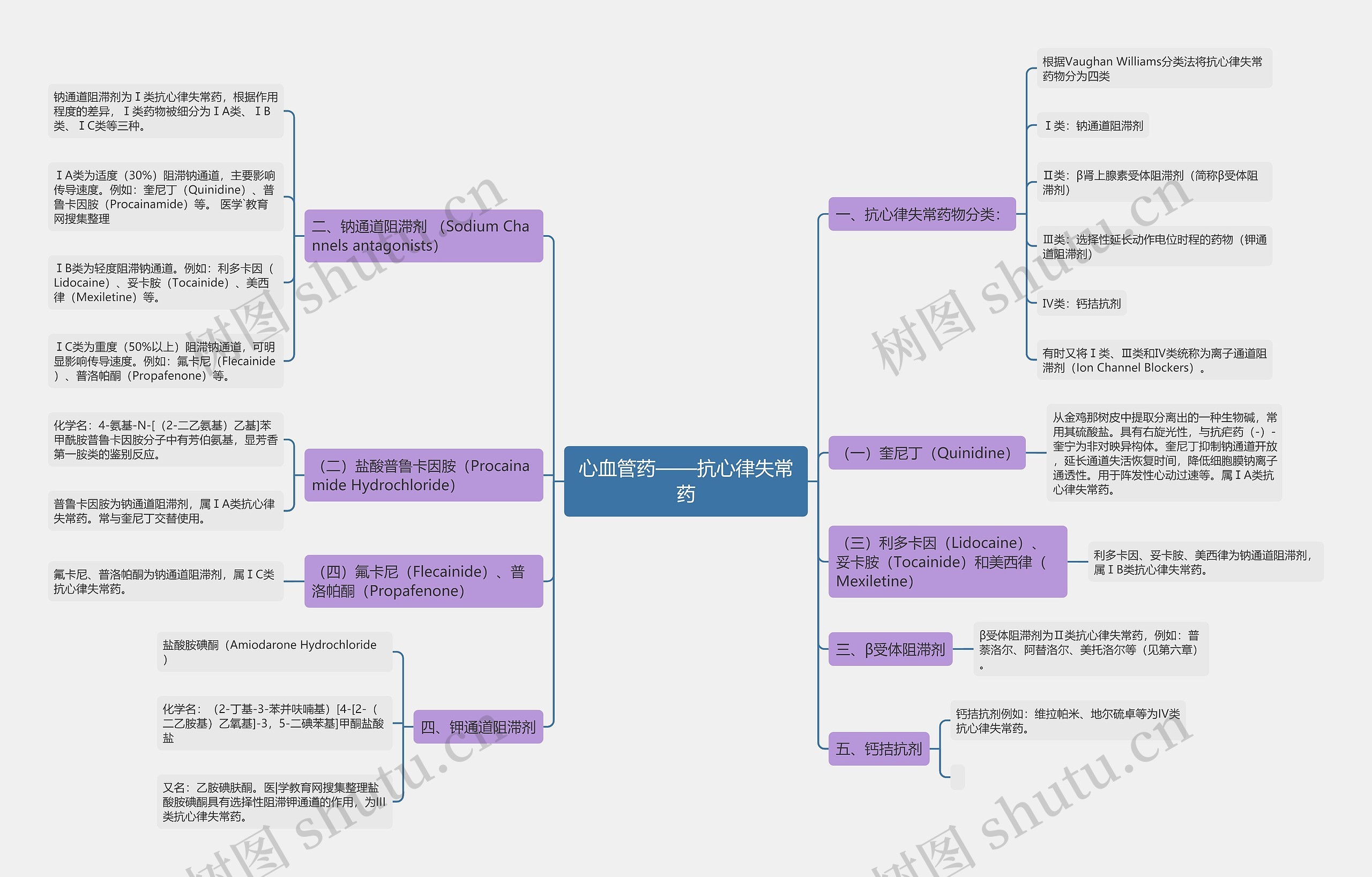 心血管药——抗心律失常药思维导图