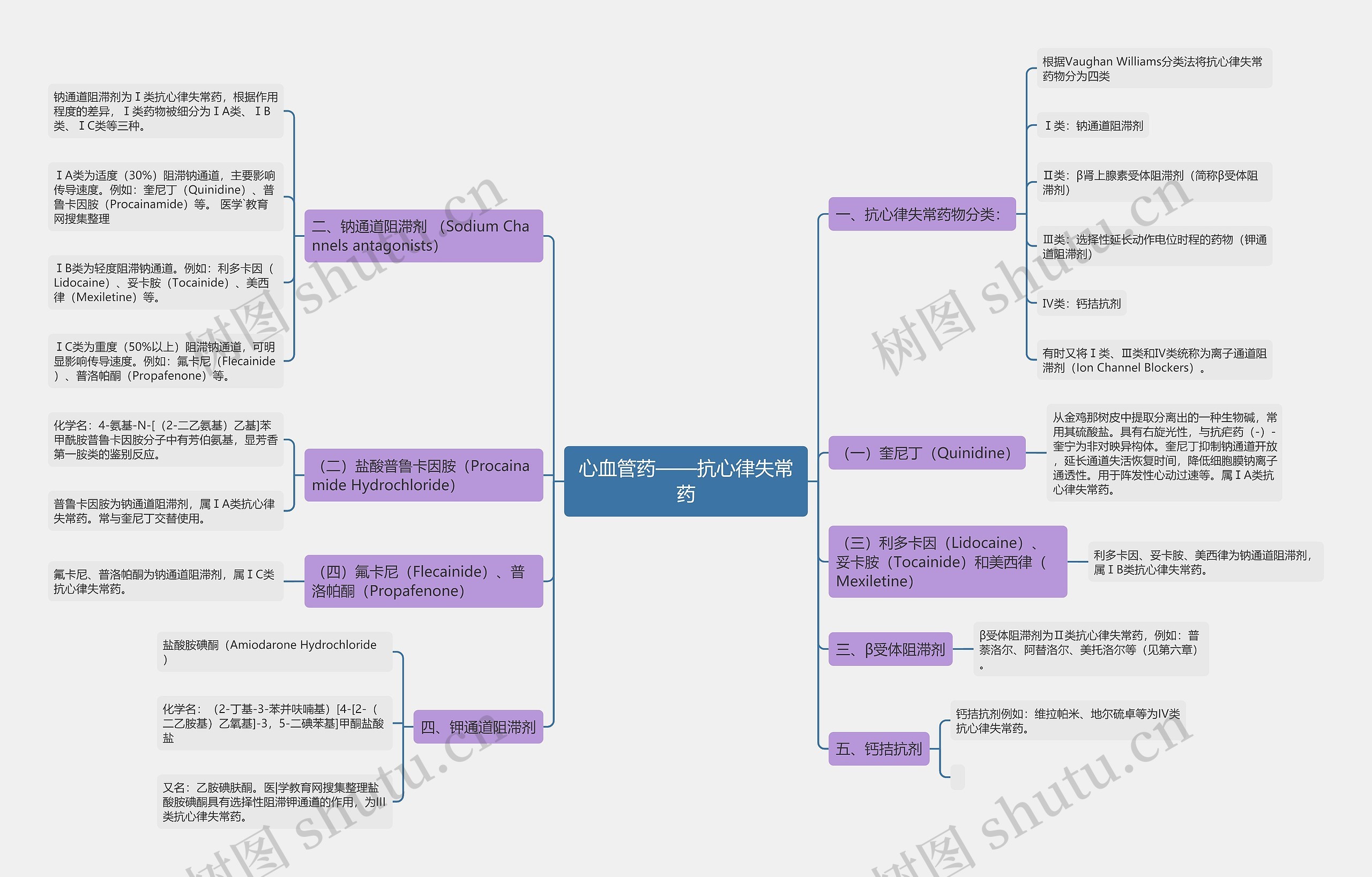 心血管药——抗心律失常药 心血管药——抗心律失常药