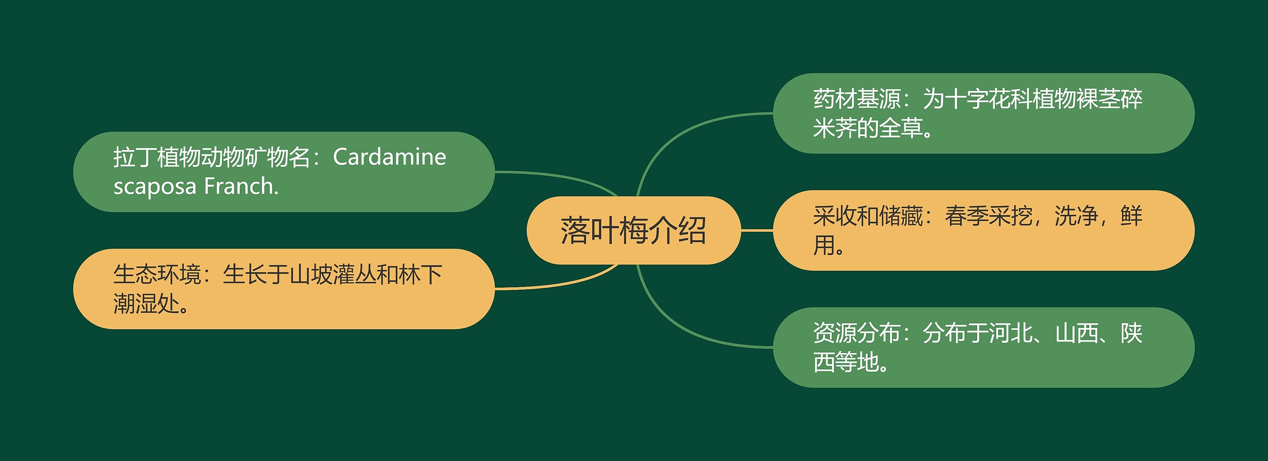 落叶梅介绍思维导图