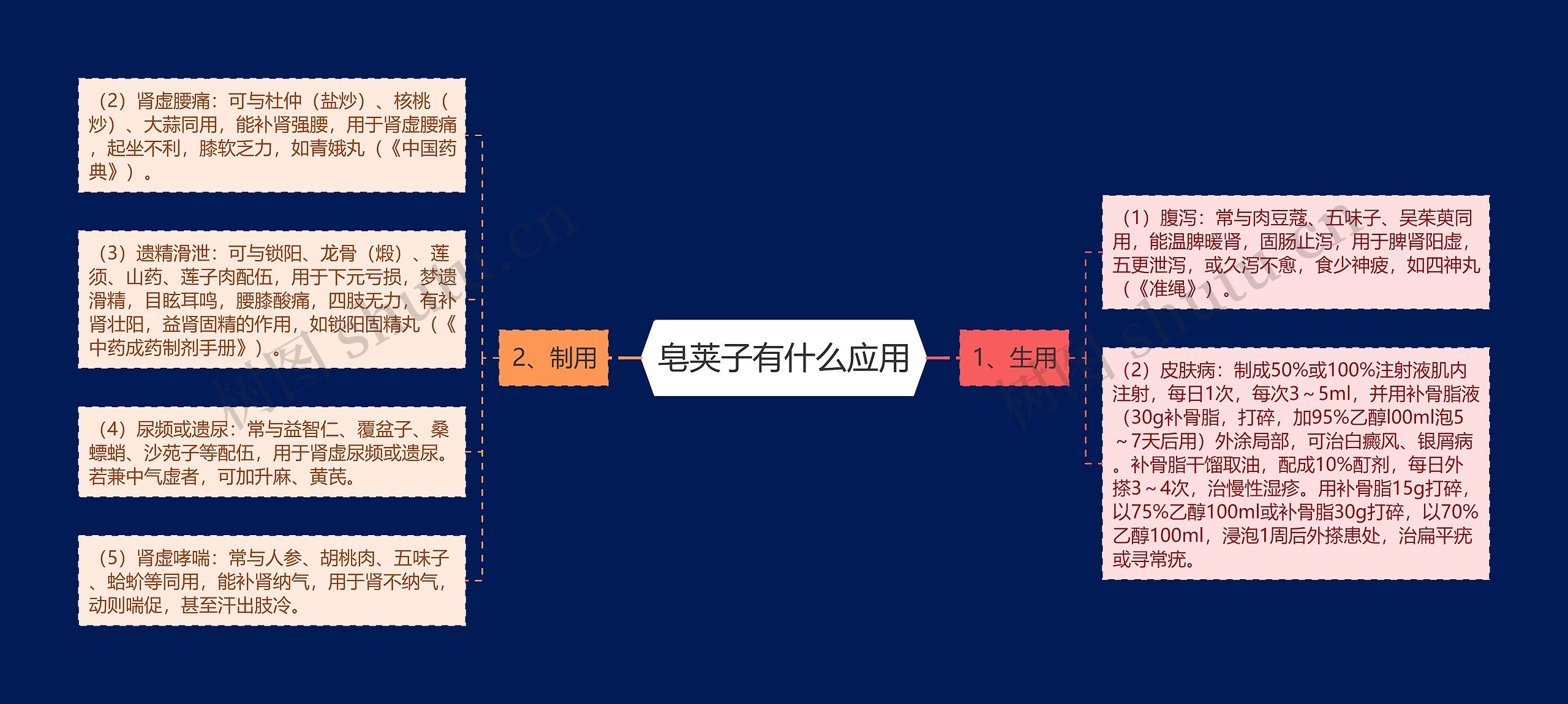 皂荚子有什么应用思维导图