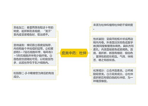 皮类中药：杜仲