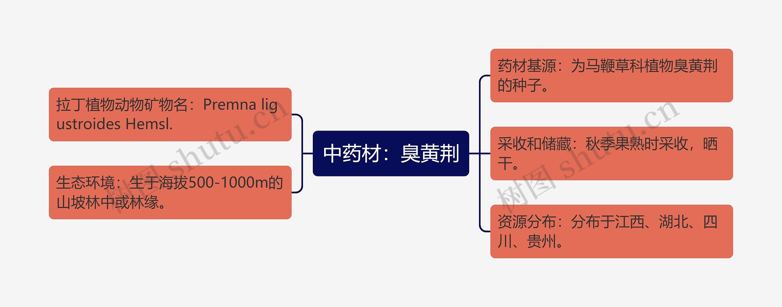 中药材：臭黄荆