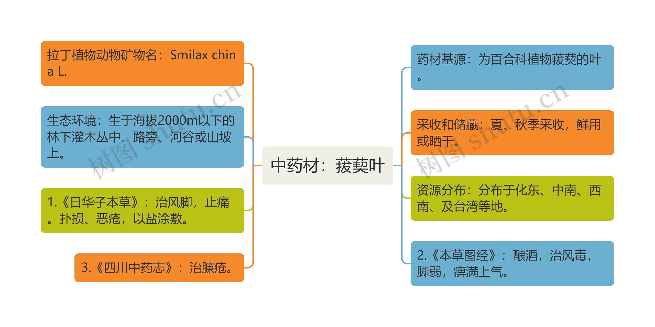 中药材：菝葜叶