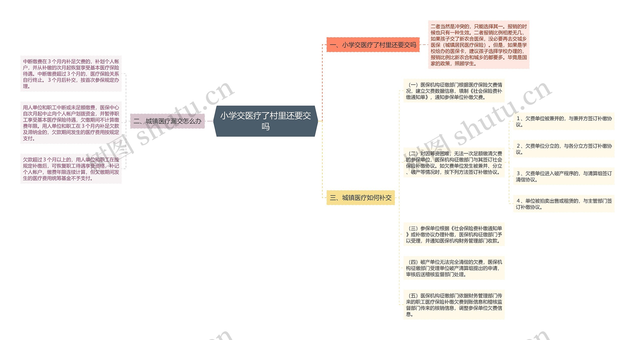 小学交医疗了村里还要交吗思维导图