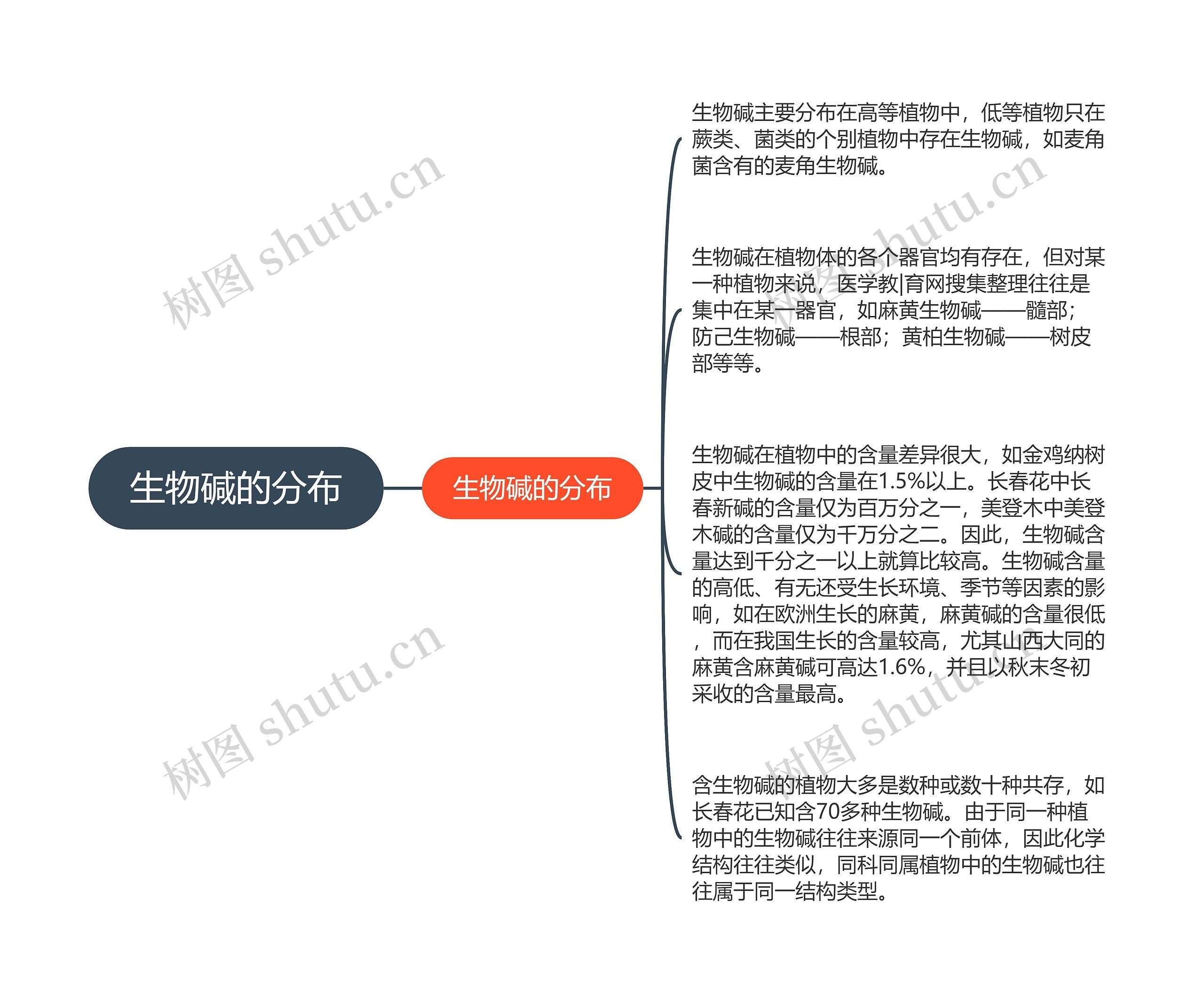 生物碱的分布 生物碱的分布