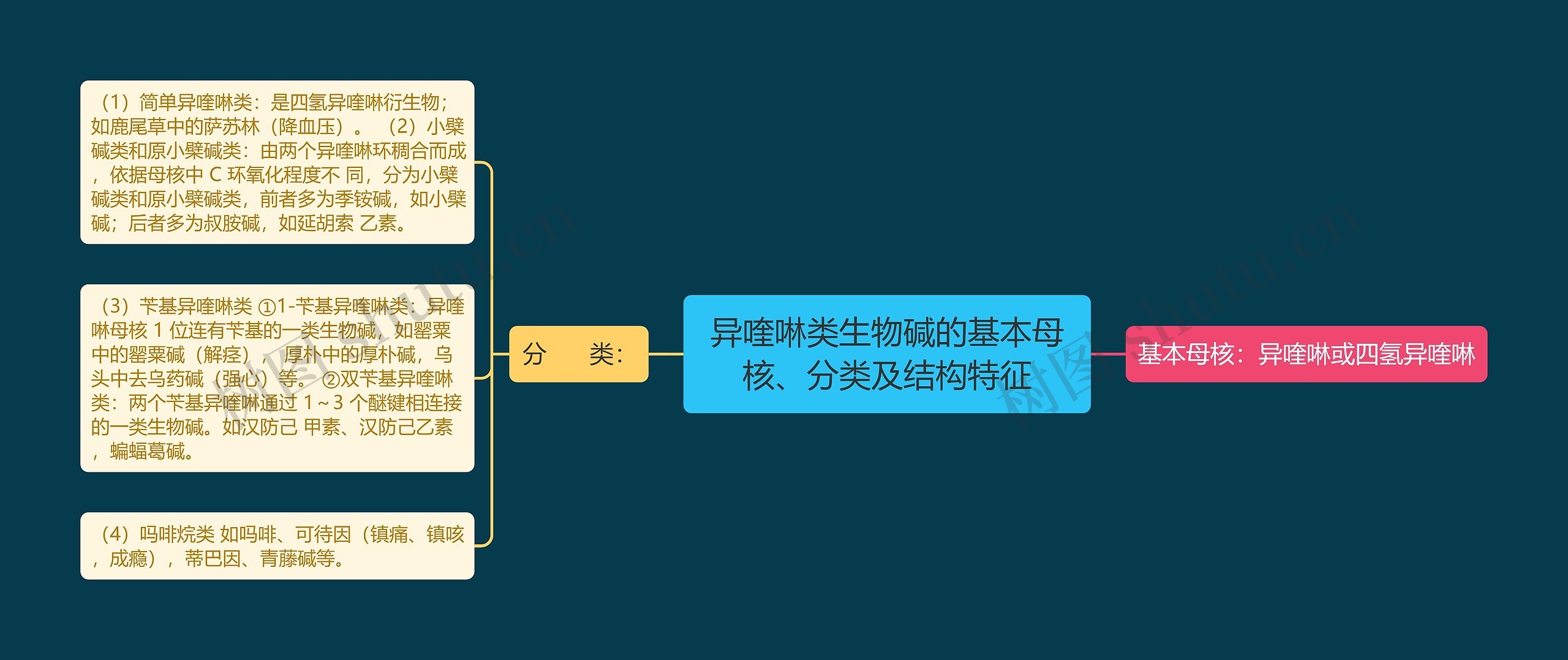 异喹啉类生物碱的基本母核、分类及结构特征思维导图