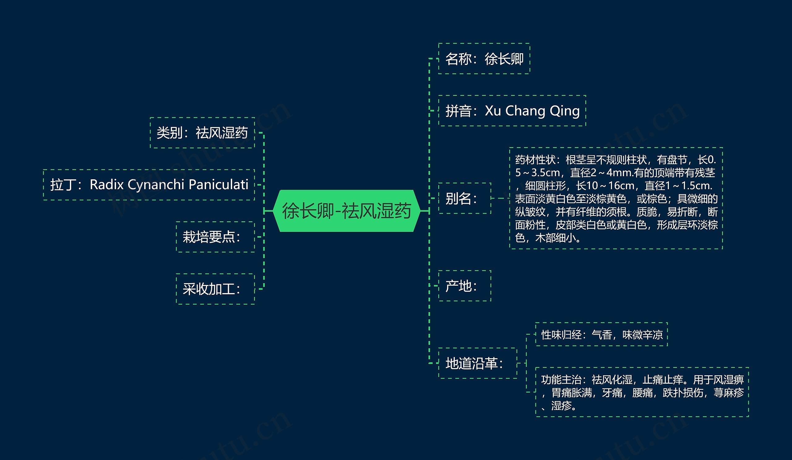 徐长卿-祛风湿药 徐长卿-祛风湿药