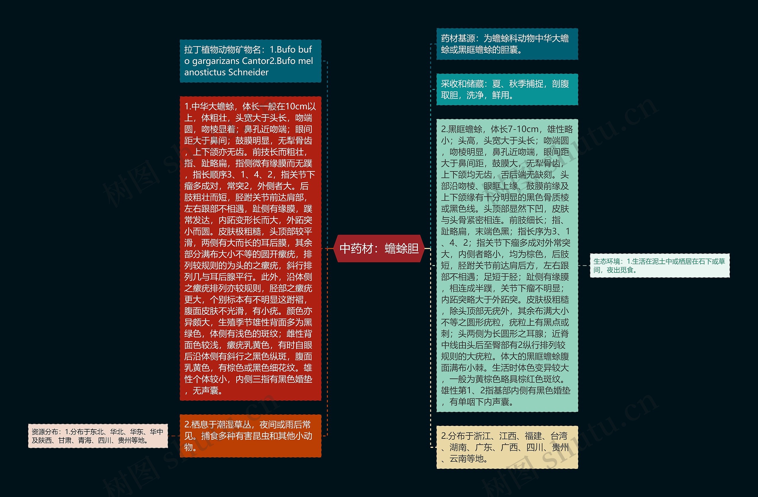 中药材：蟾蜍胆思维导图