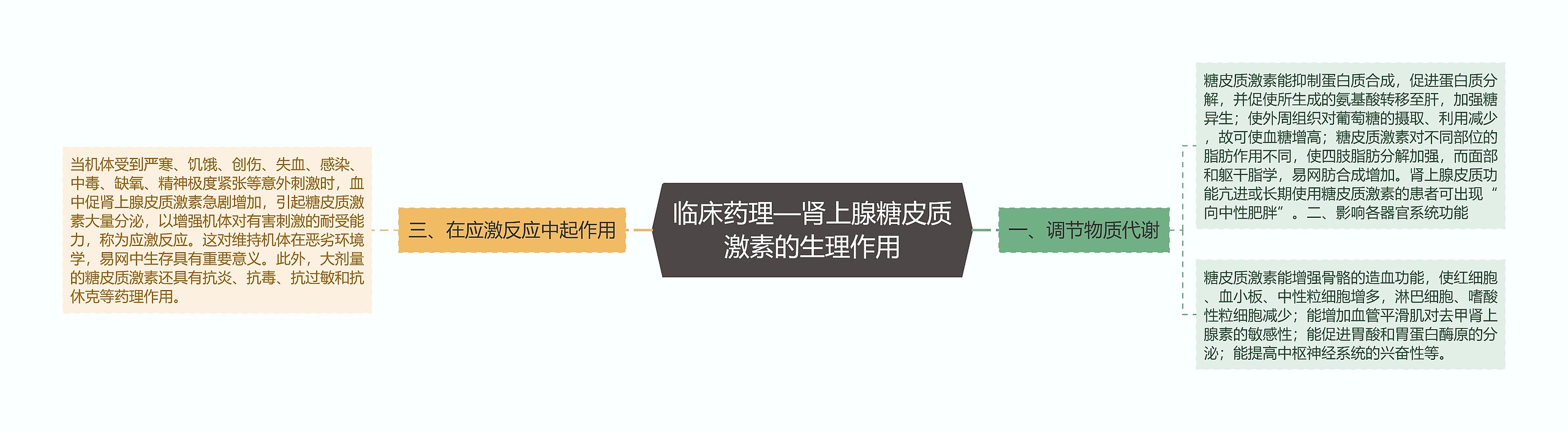 临床药理—肾上腺糖皮质激素的生理作用思维导图