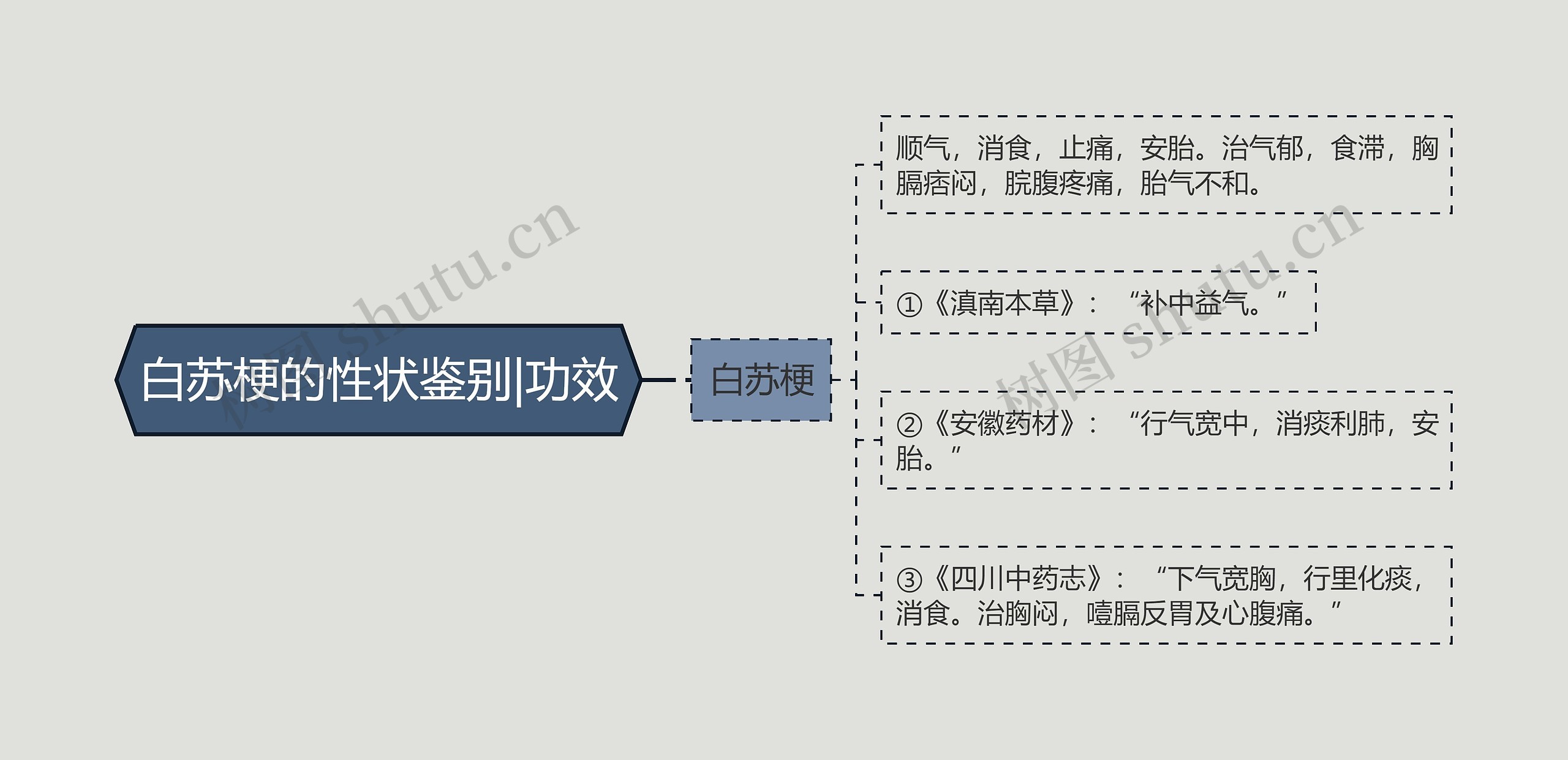 白苏梗的性状鉴别|功效