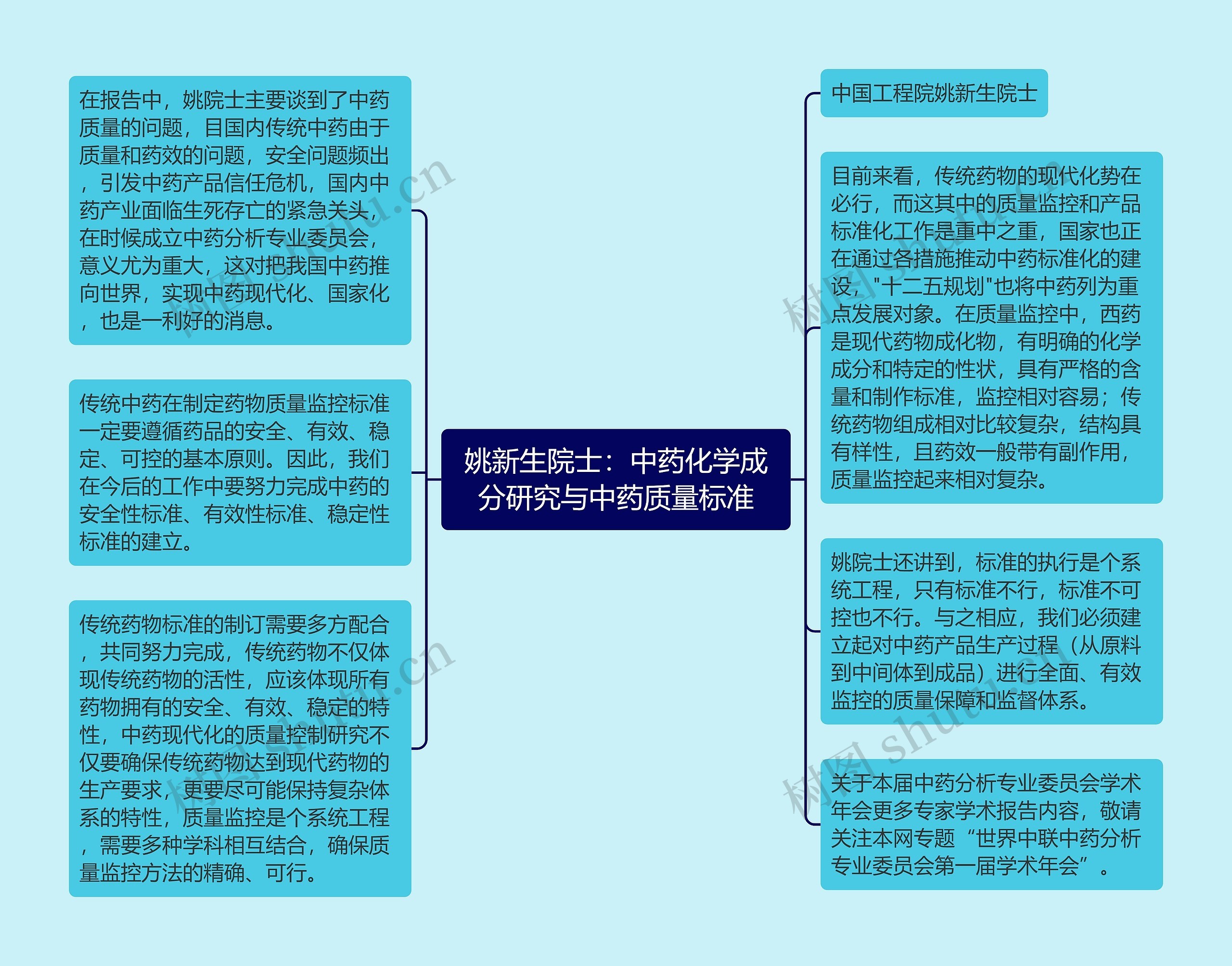 姚新生院士：中药化学成分研究与中药质量标准思维导图