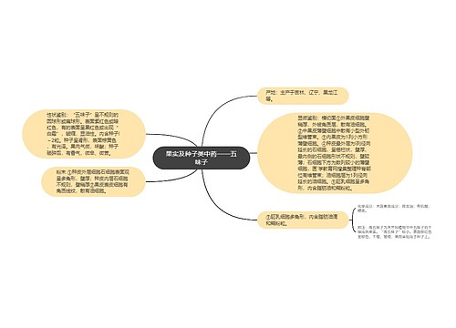 果实及种子类中药——五味子