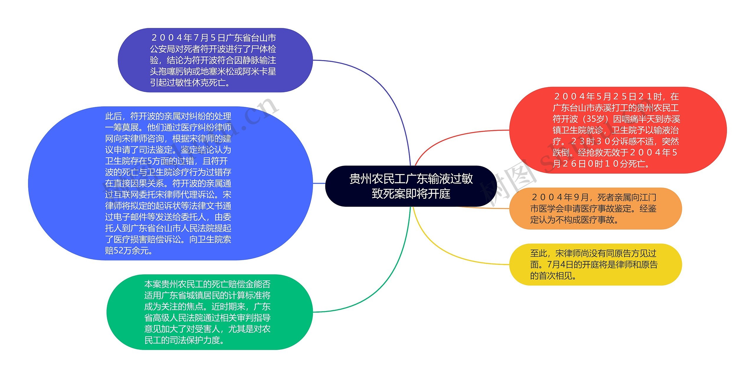 贵州农民工广东输液过敏致死案即将开庭思维导图