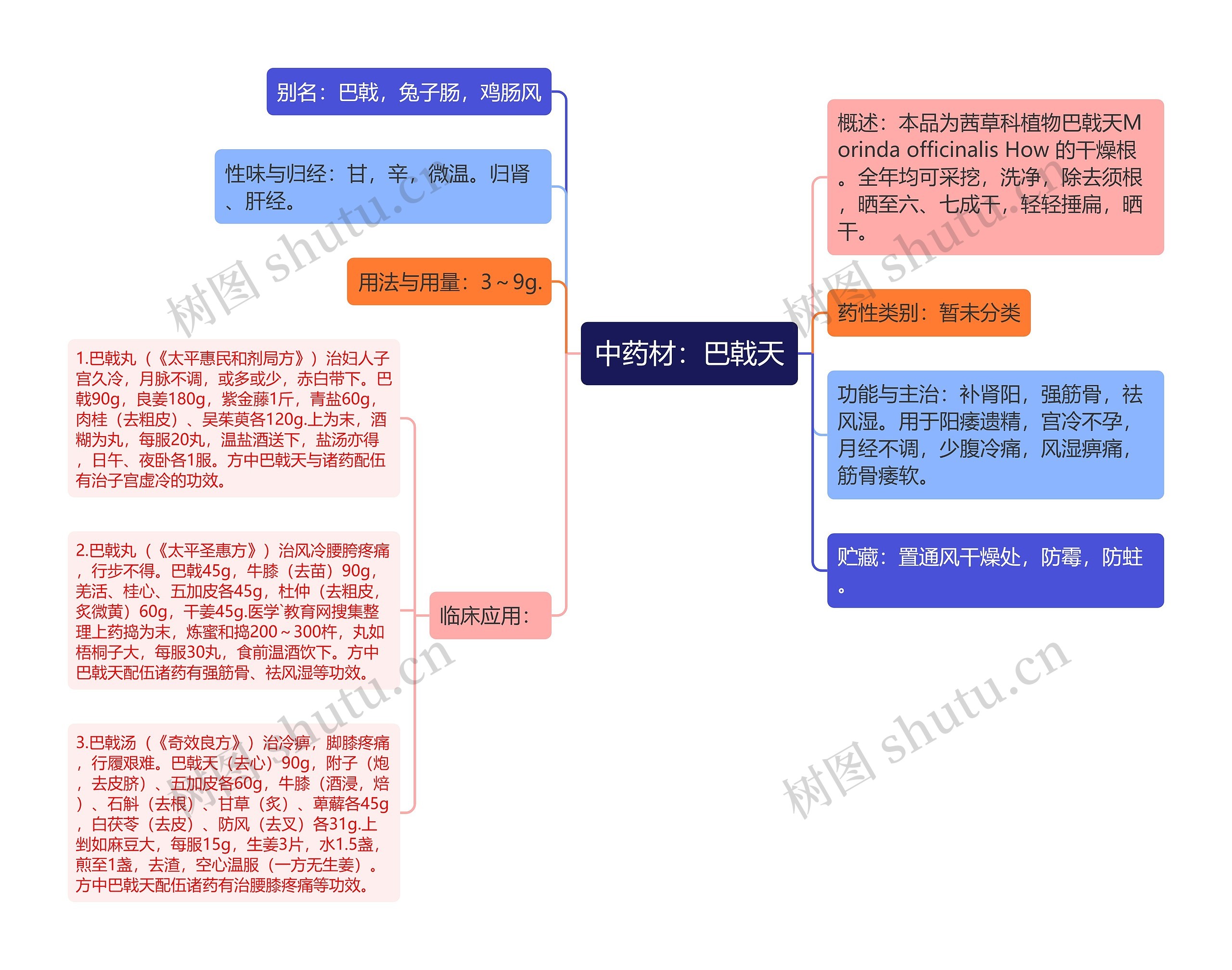 中药材：巴戟天思维导图