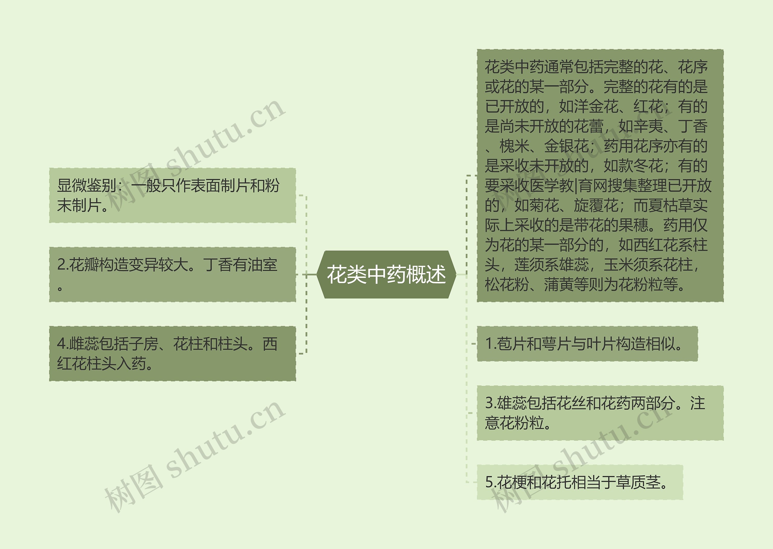 花类中药概述思维导图