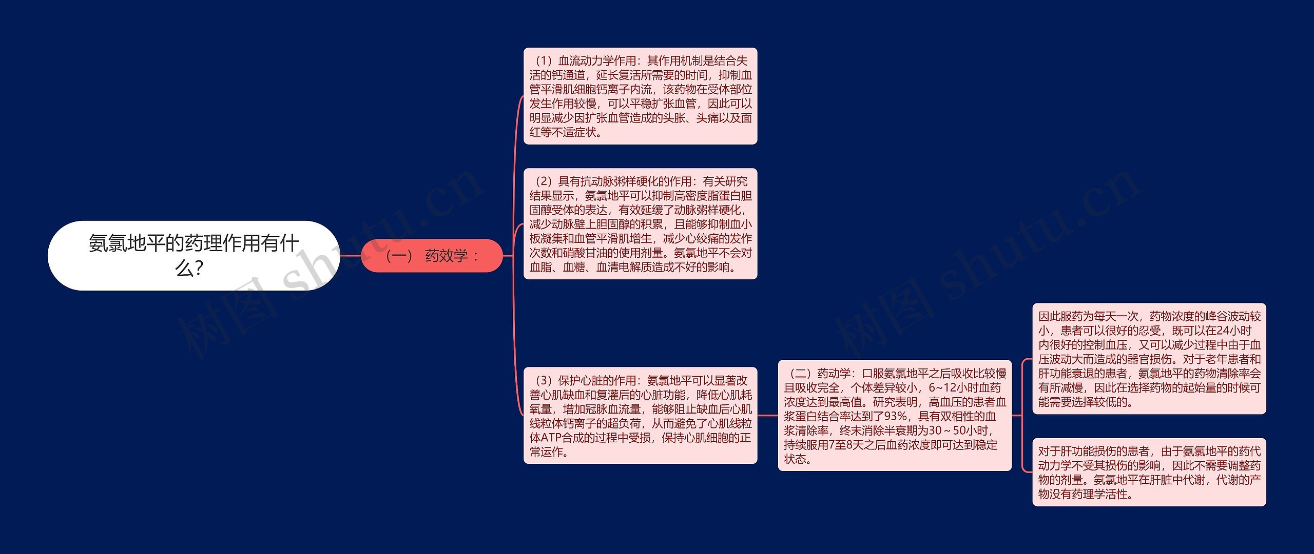 氨氯地平的药理作用有什么？思维导图