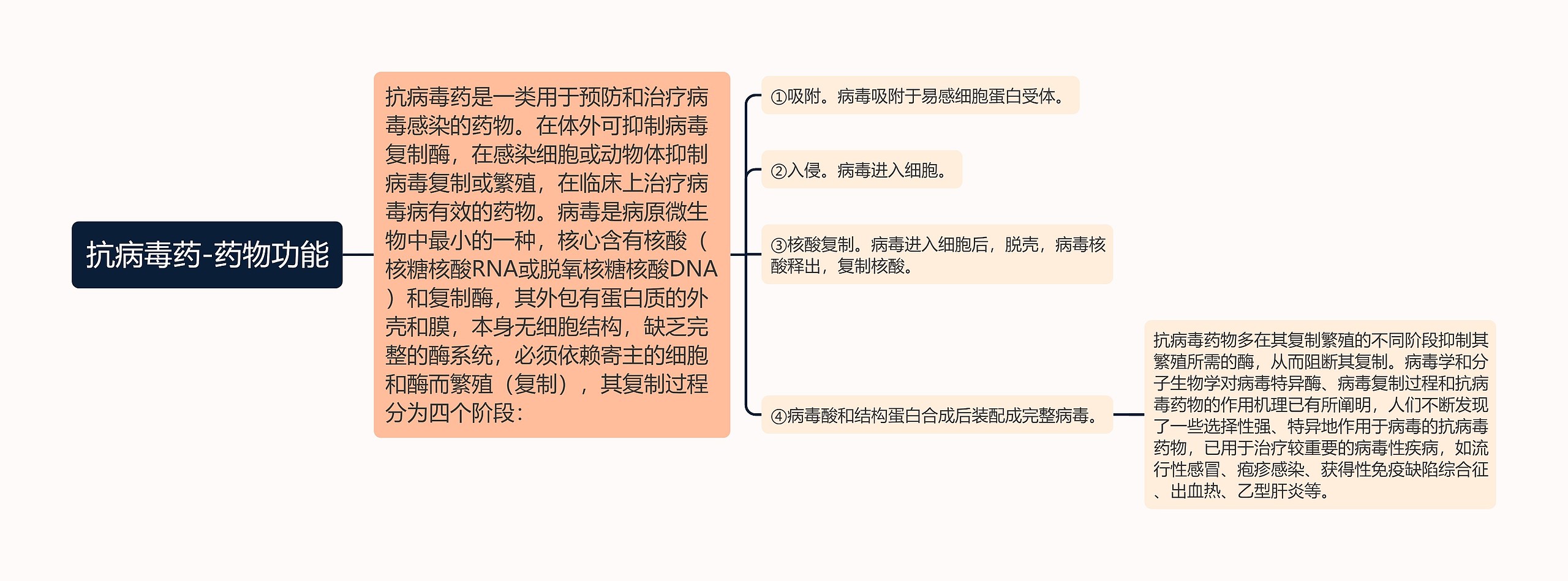 抗病毒药-药物功能思维导图