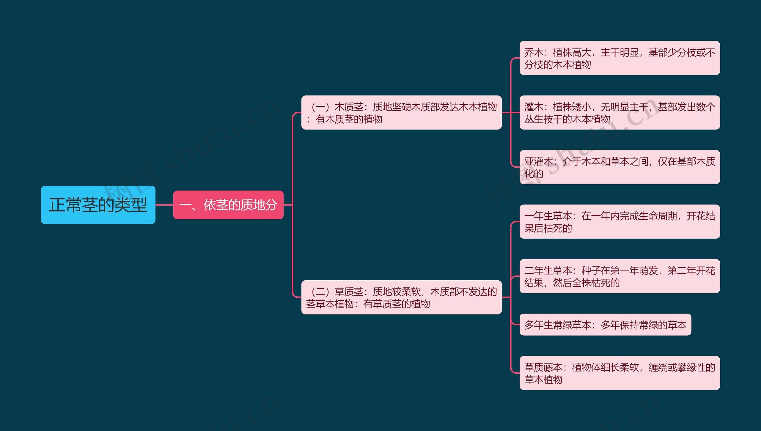 正常茎的类型思维导图