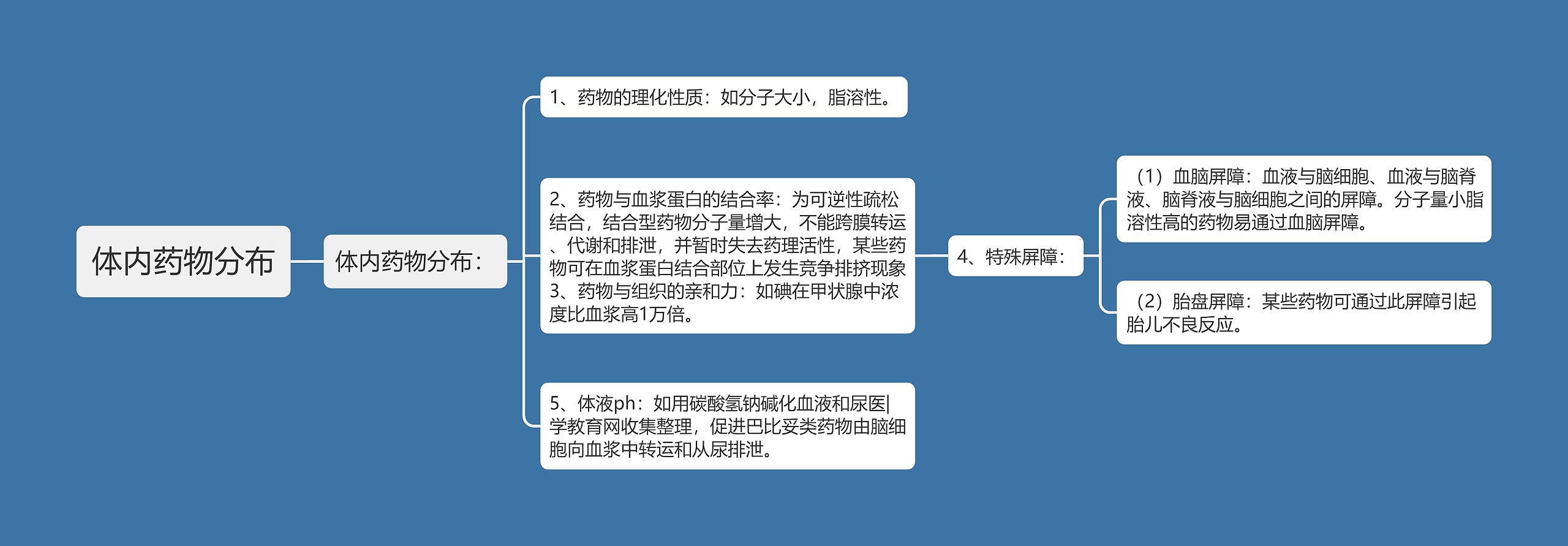 体内药物分布思维导图