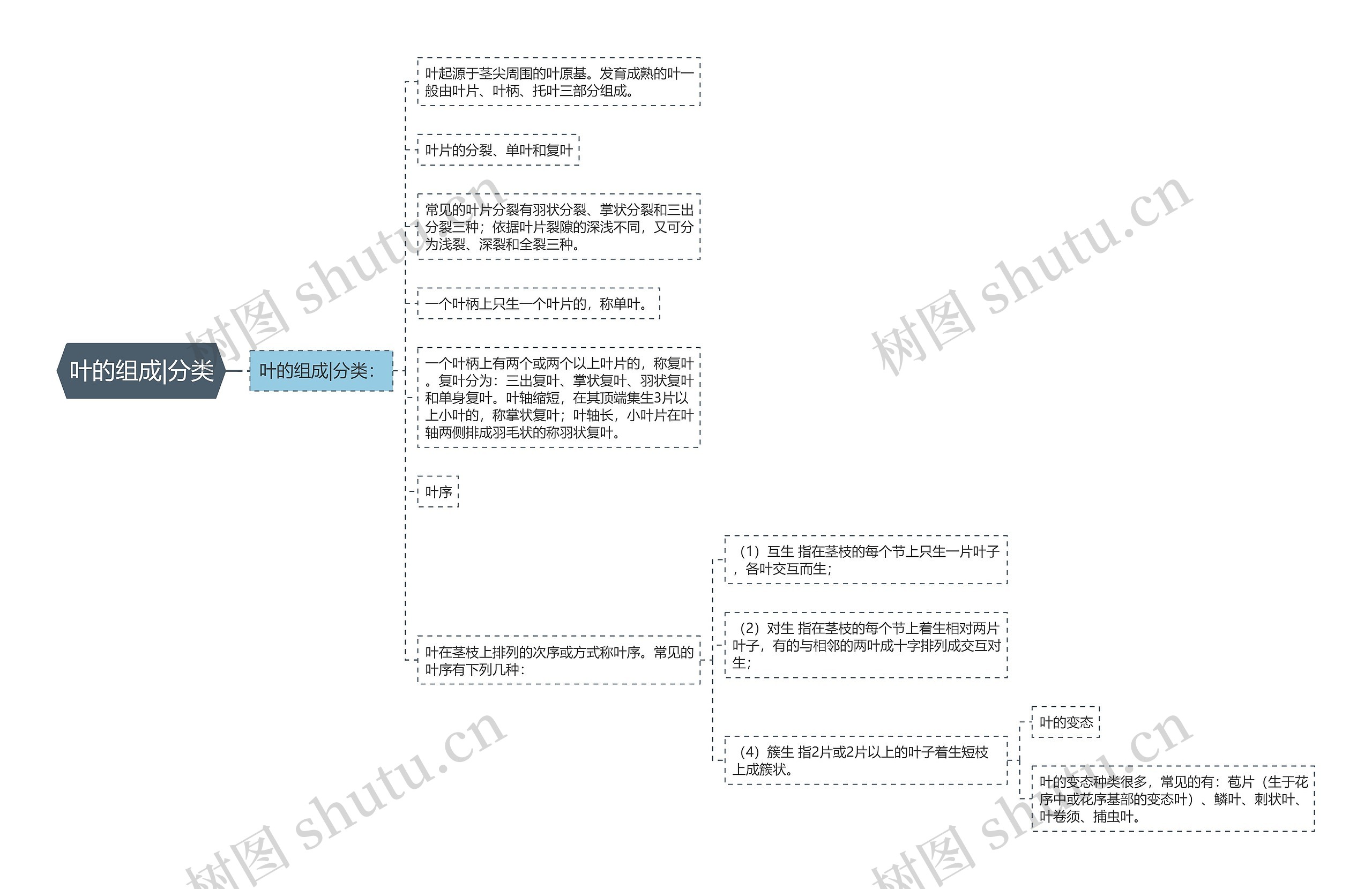 叶的组成|分类思维导图