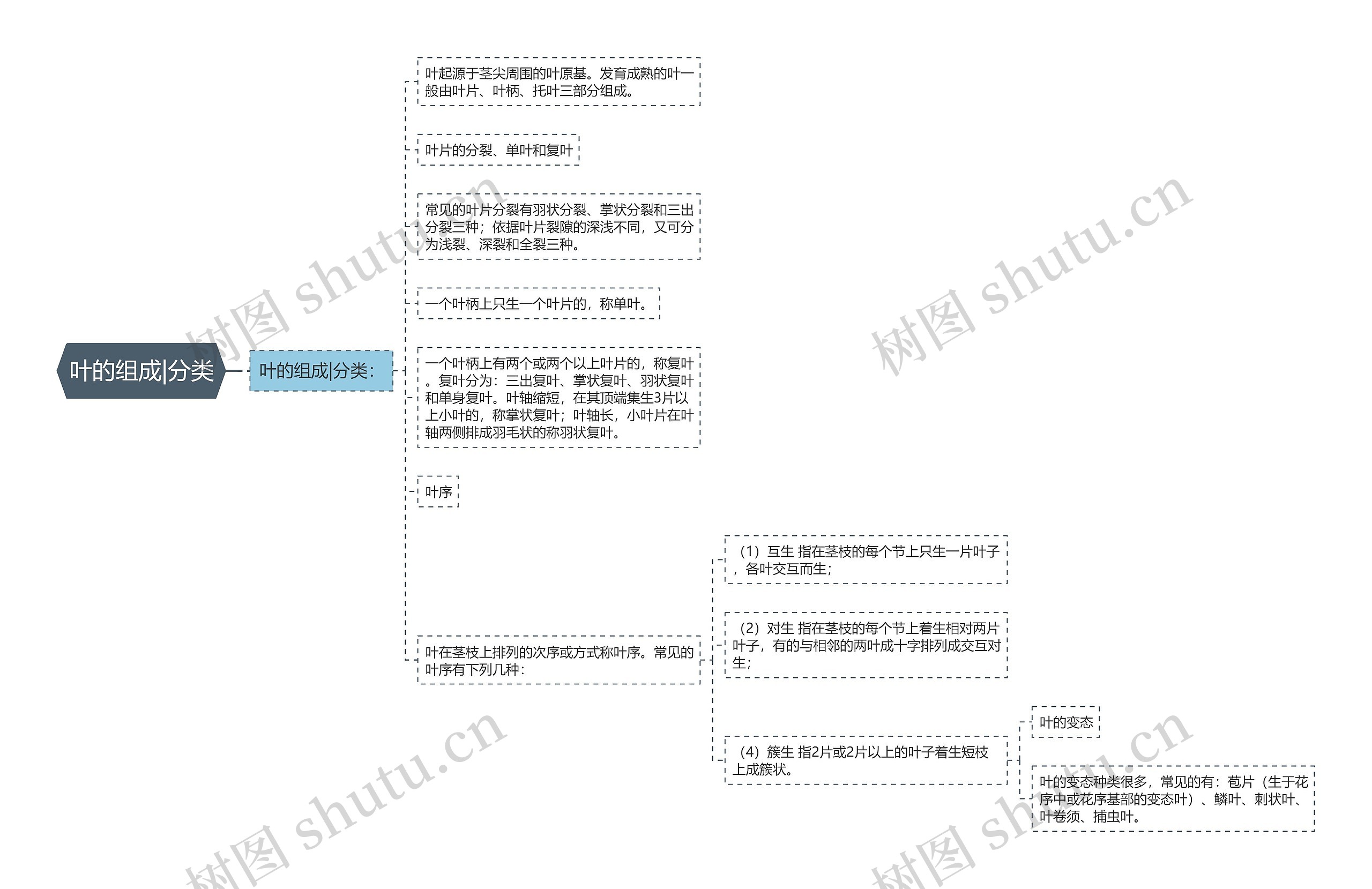 叶的组成|分类 叶的组成|分类