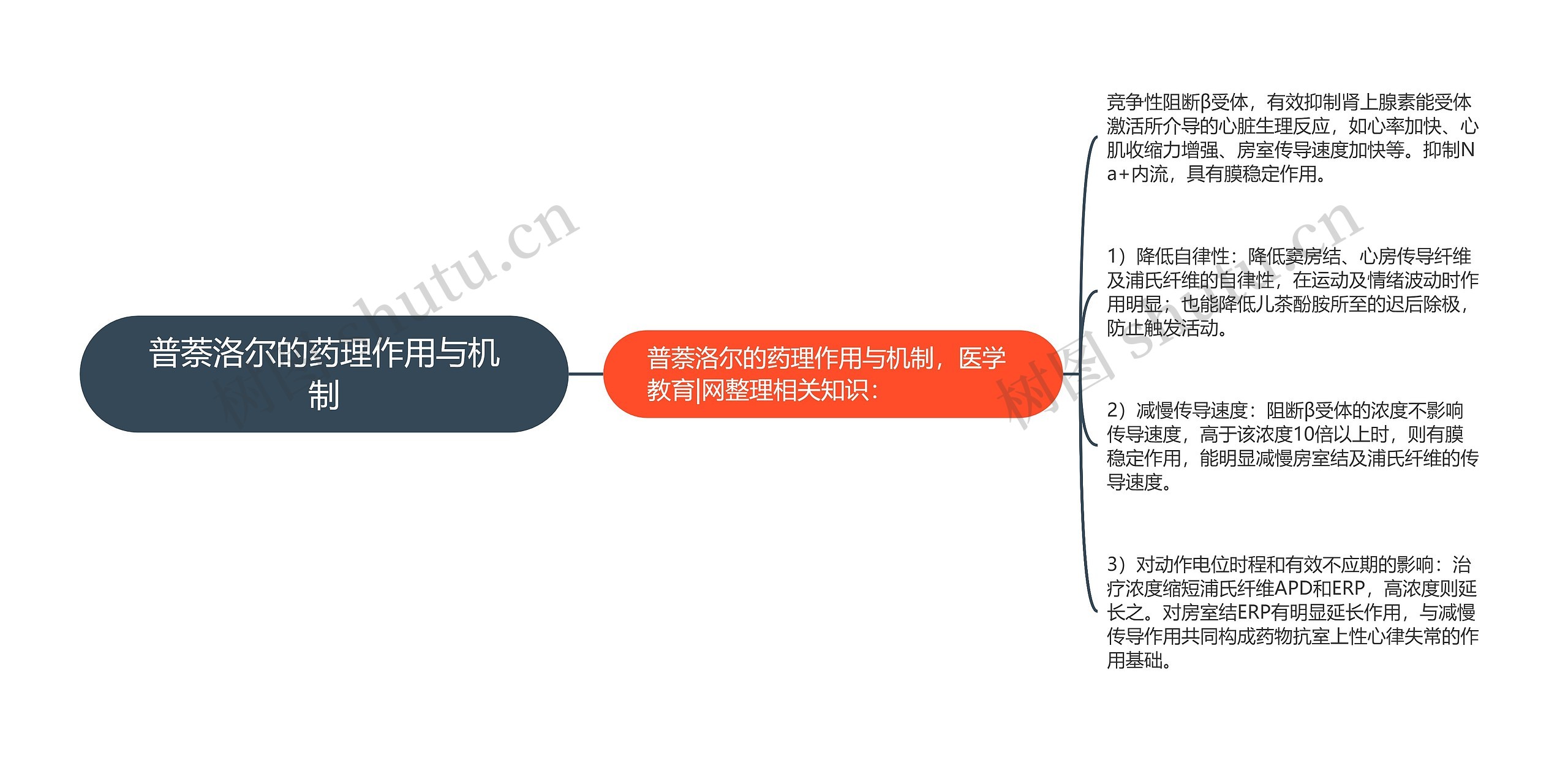 普萘洛尔的药理作用与机制思维导图