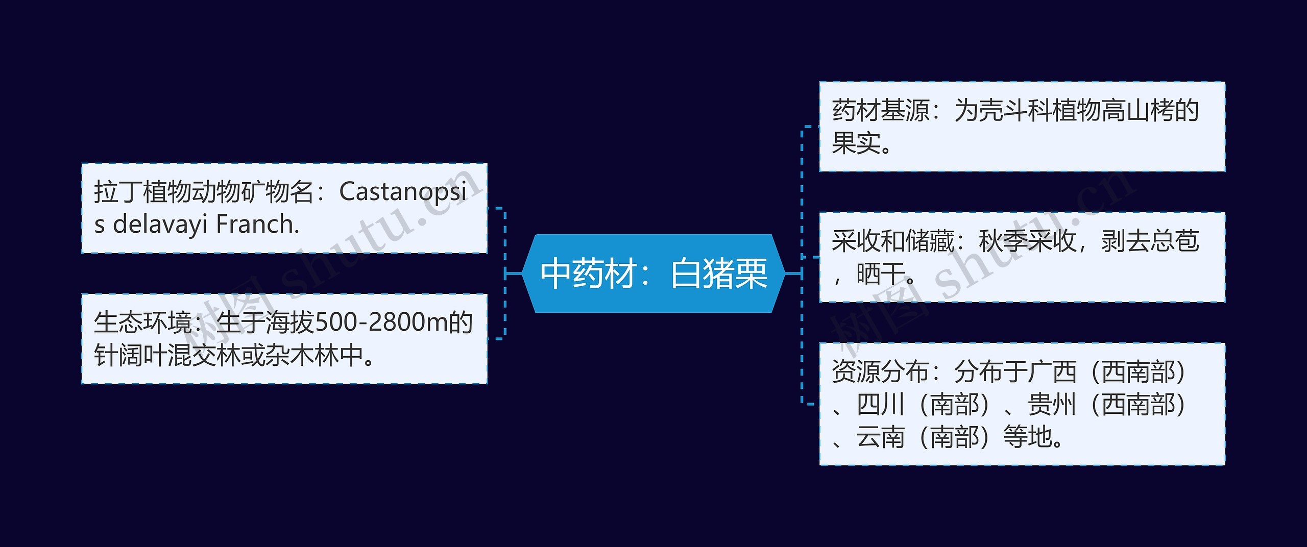 中药材：白猪栗思维导图