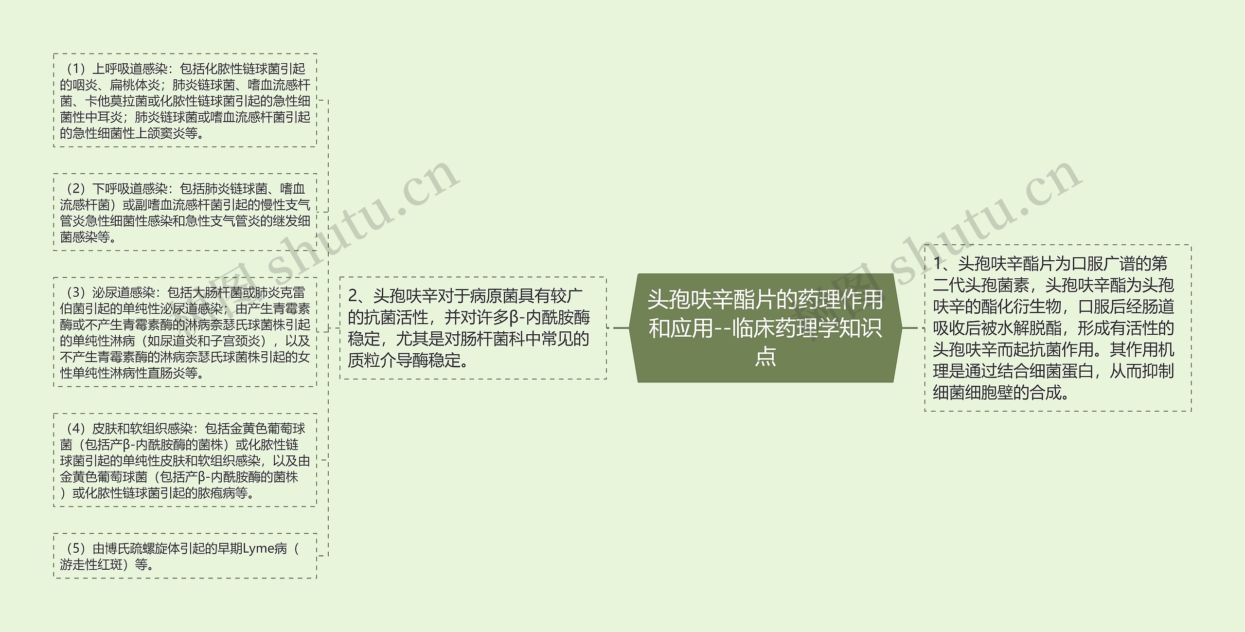 头孢呋辛酯片的药理作用和应用--临床药理学知识点思维导图