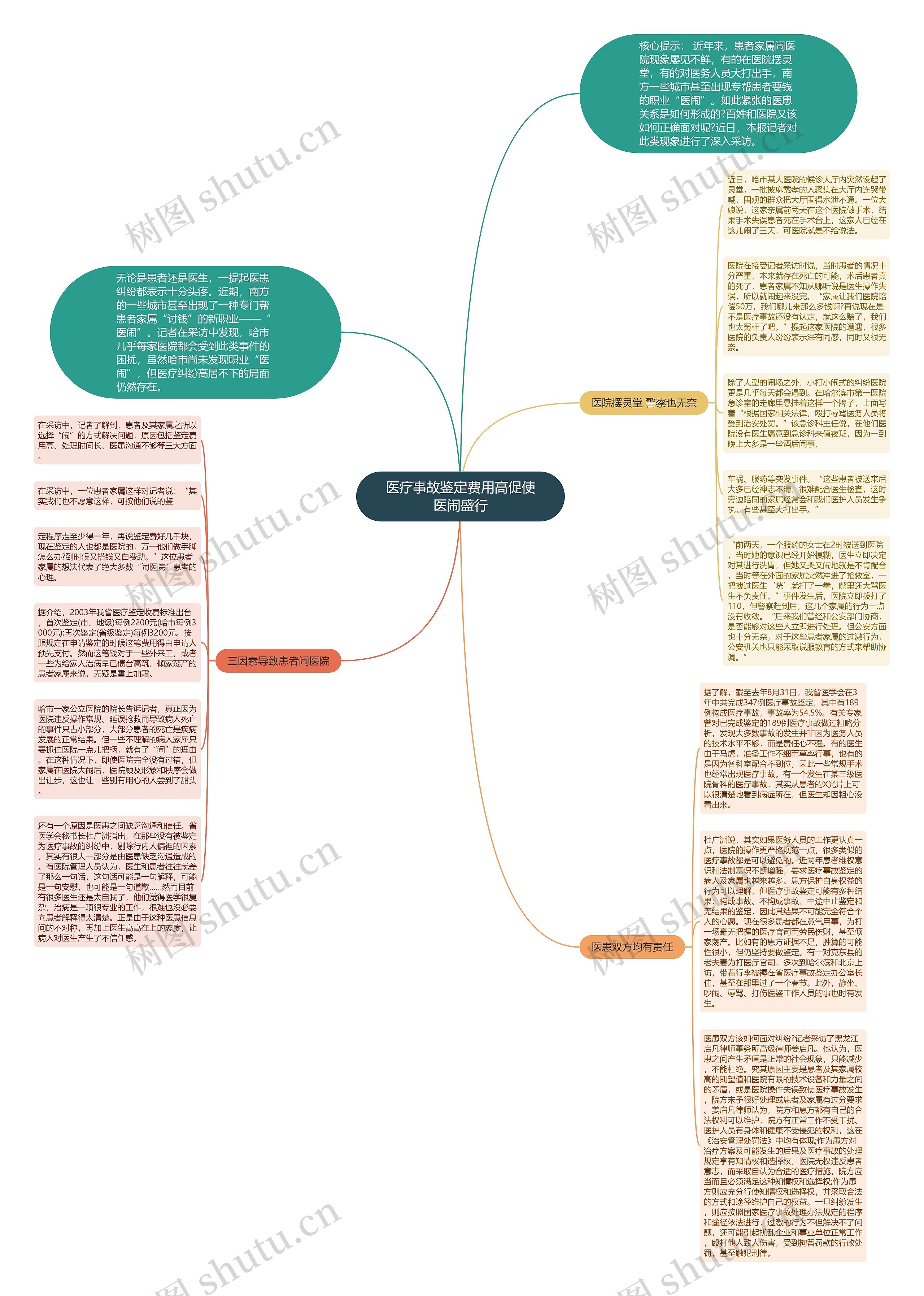 医疗事故鉴定费用高促使医闹盛行思维导图