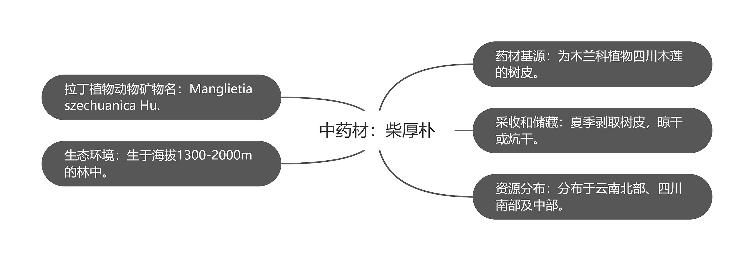 中药材：柴厚朴思维导图