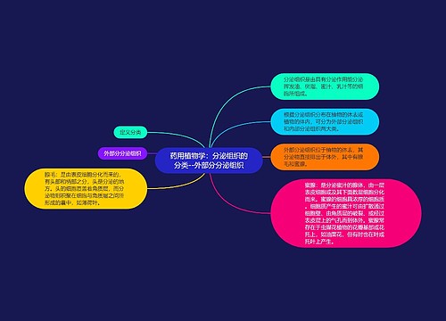 药用植物学：分泌组织的分类--外部分分泌组织