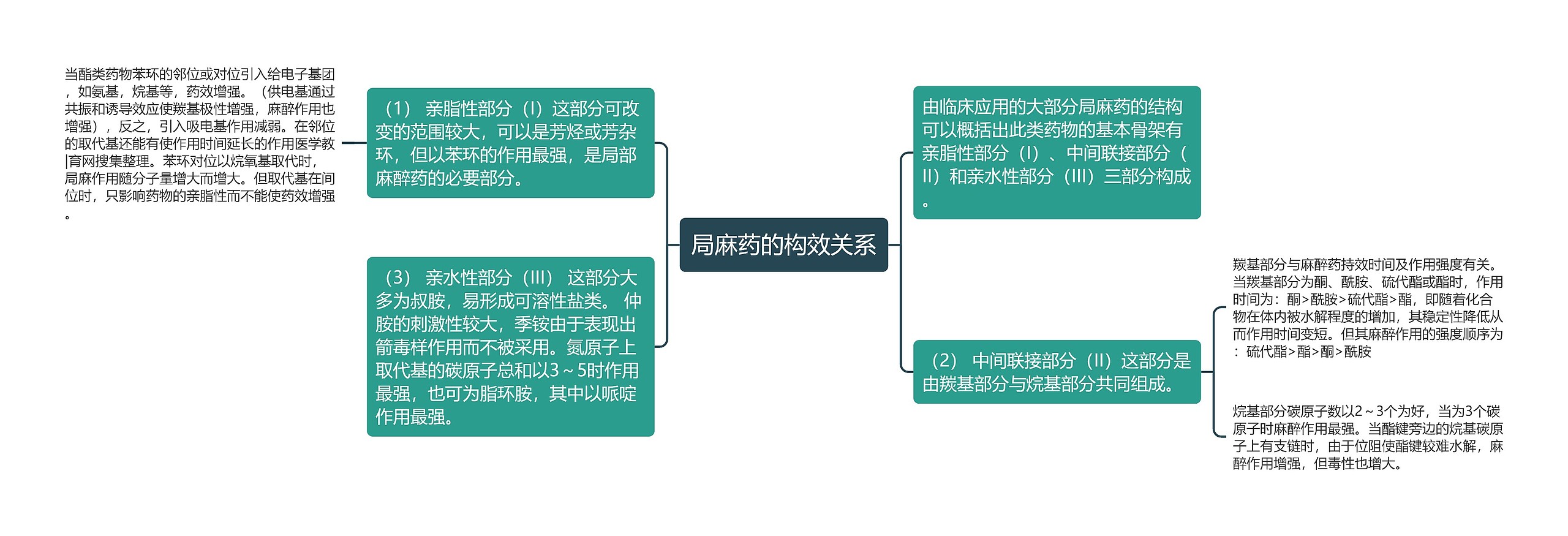 局麻药的构效关系思维导图