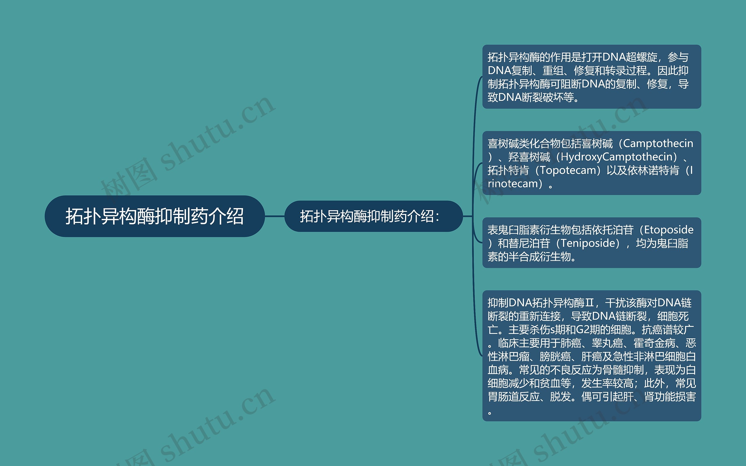 拓扑异构酶抑制药介绍 拓扑异构酶抑制药介绍