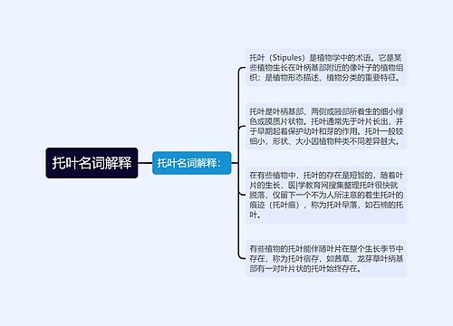 托叶名词解释