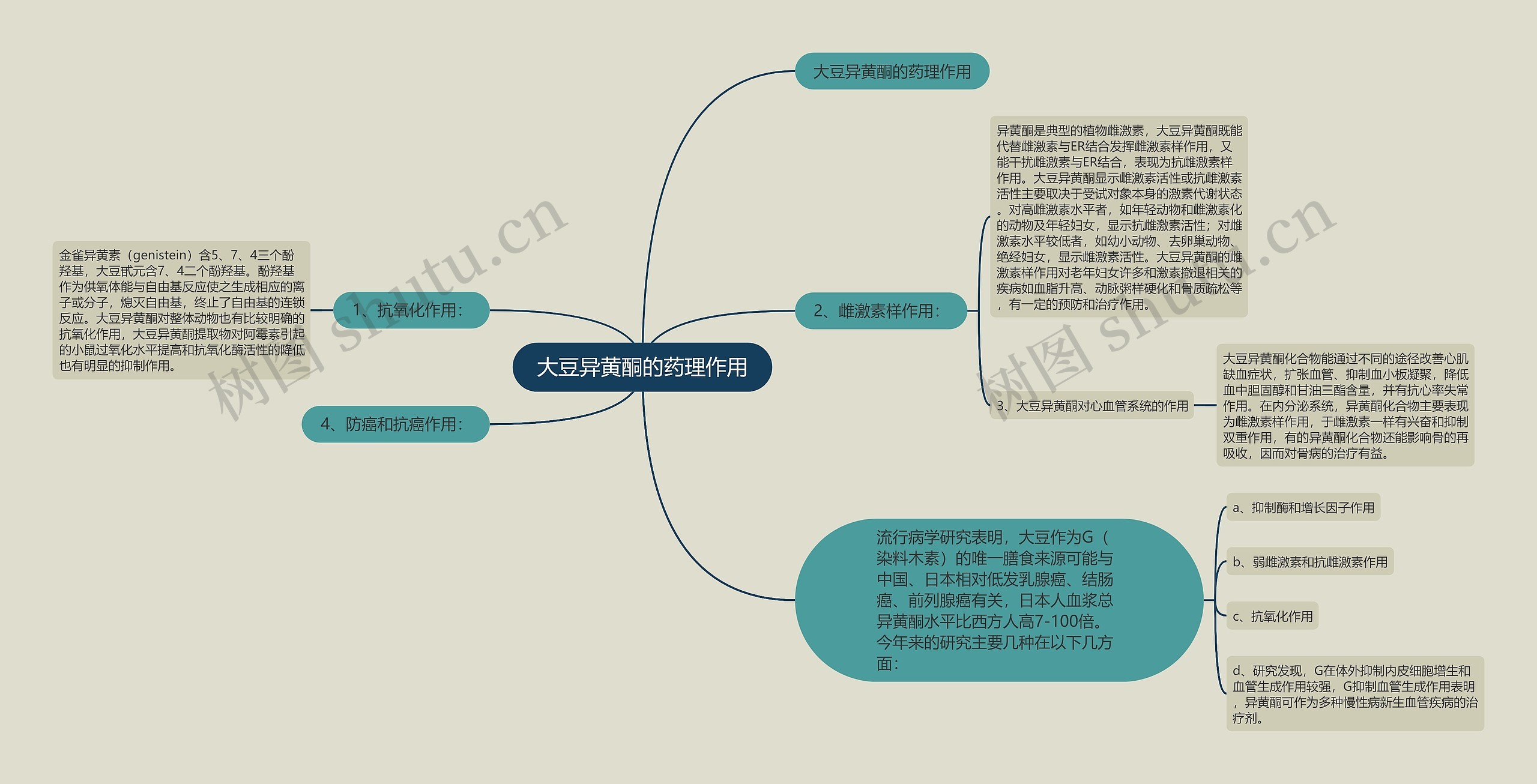 大豆异黄酮的药理作用