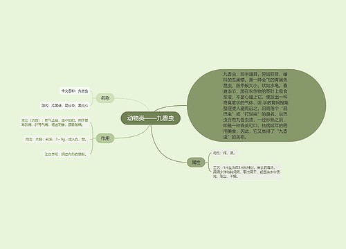 动物类——九香虫