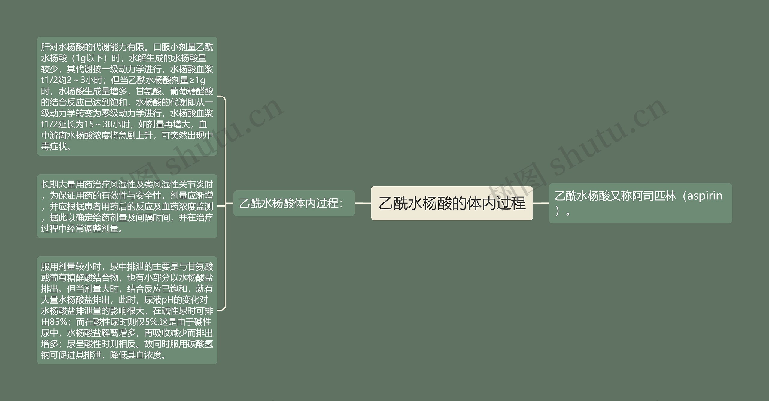 乙酰水杨酸的体内过程