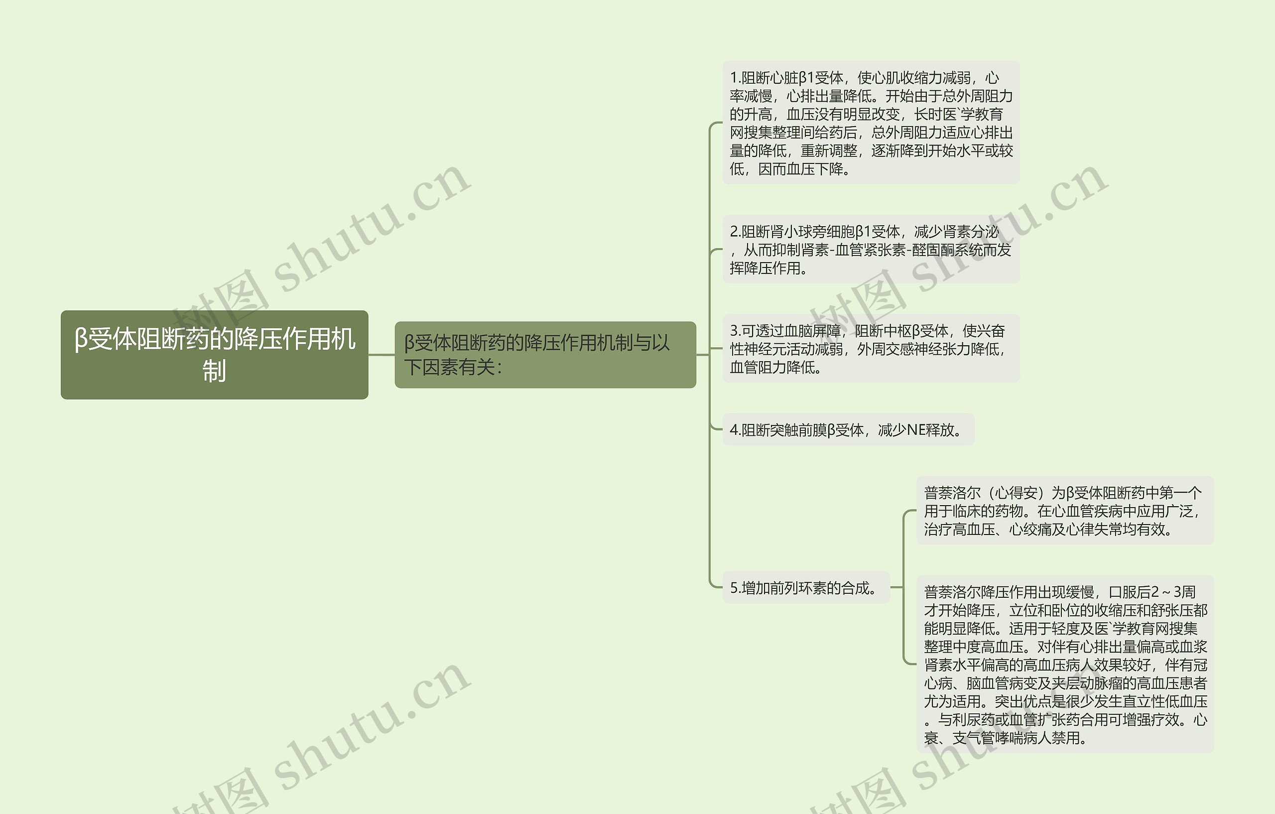 β受体阻断药的降压作用机制