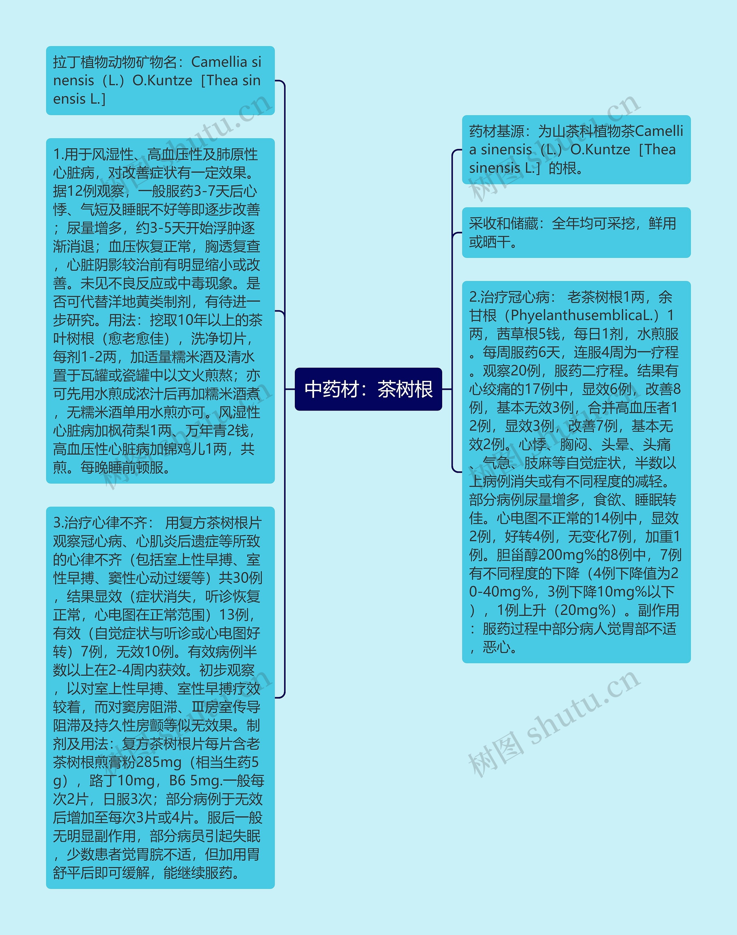 中药材：茶树根思维导图