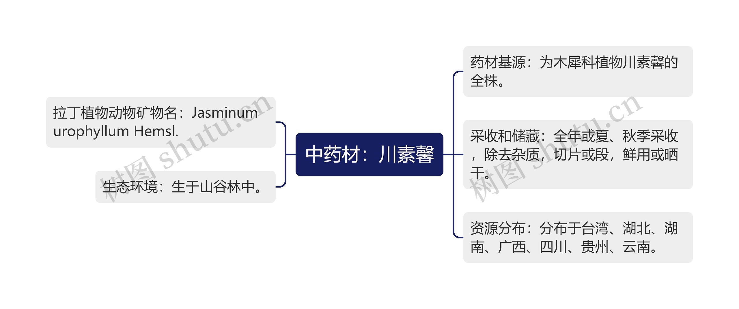 中药材：川素馨思维导图