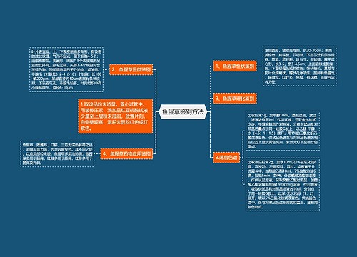 鱼腥草鉴别方法