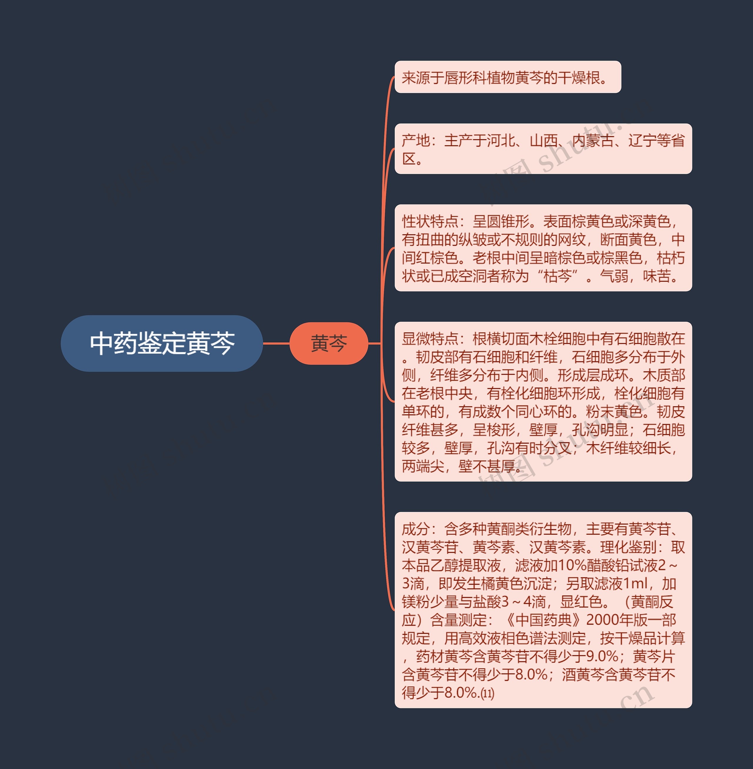 中药鉴定黄芩思维导图