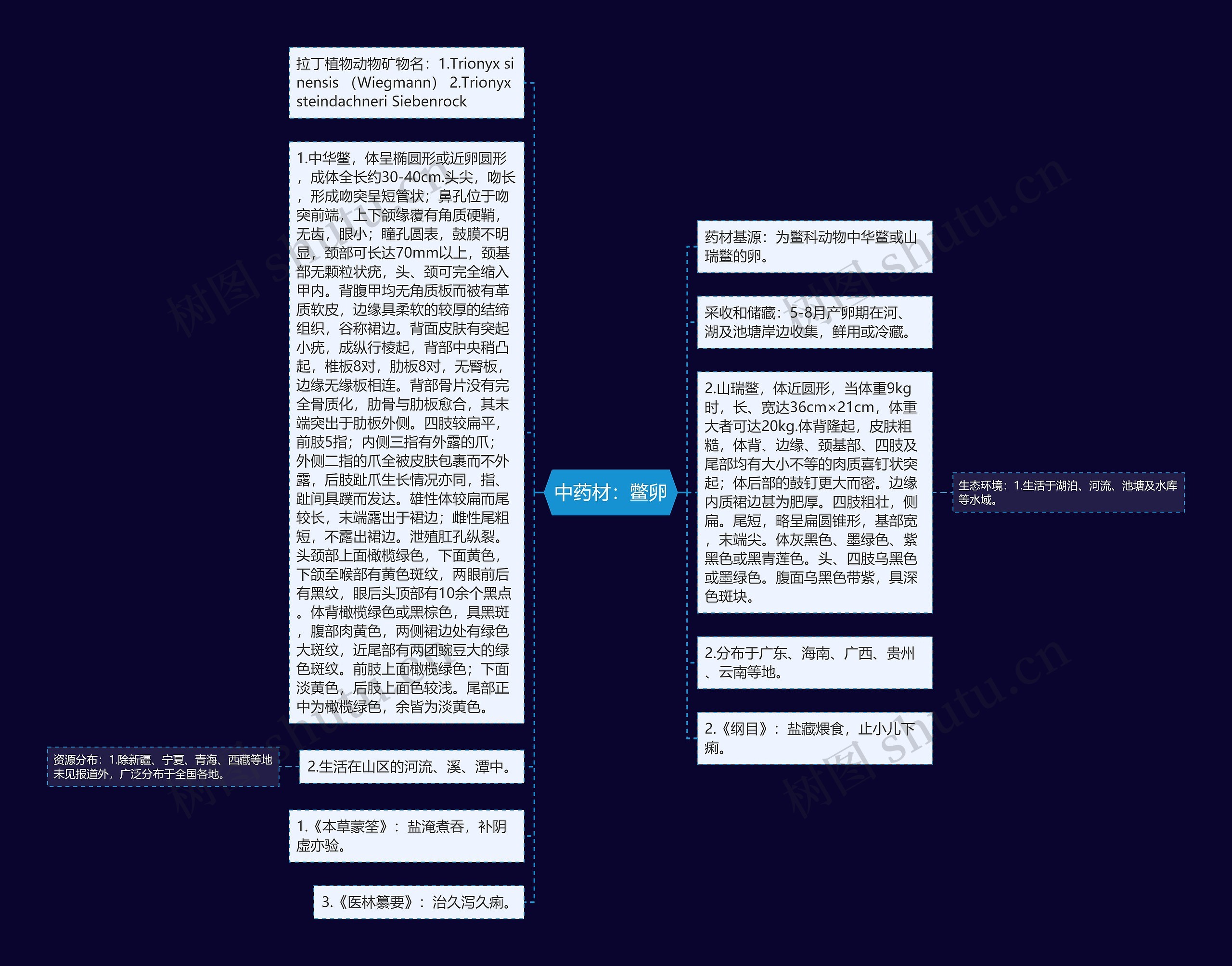 中药材：鳖卵思维导图