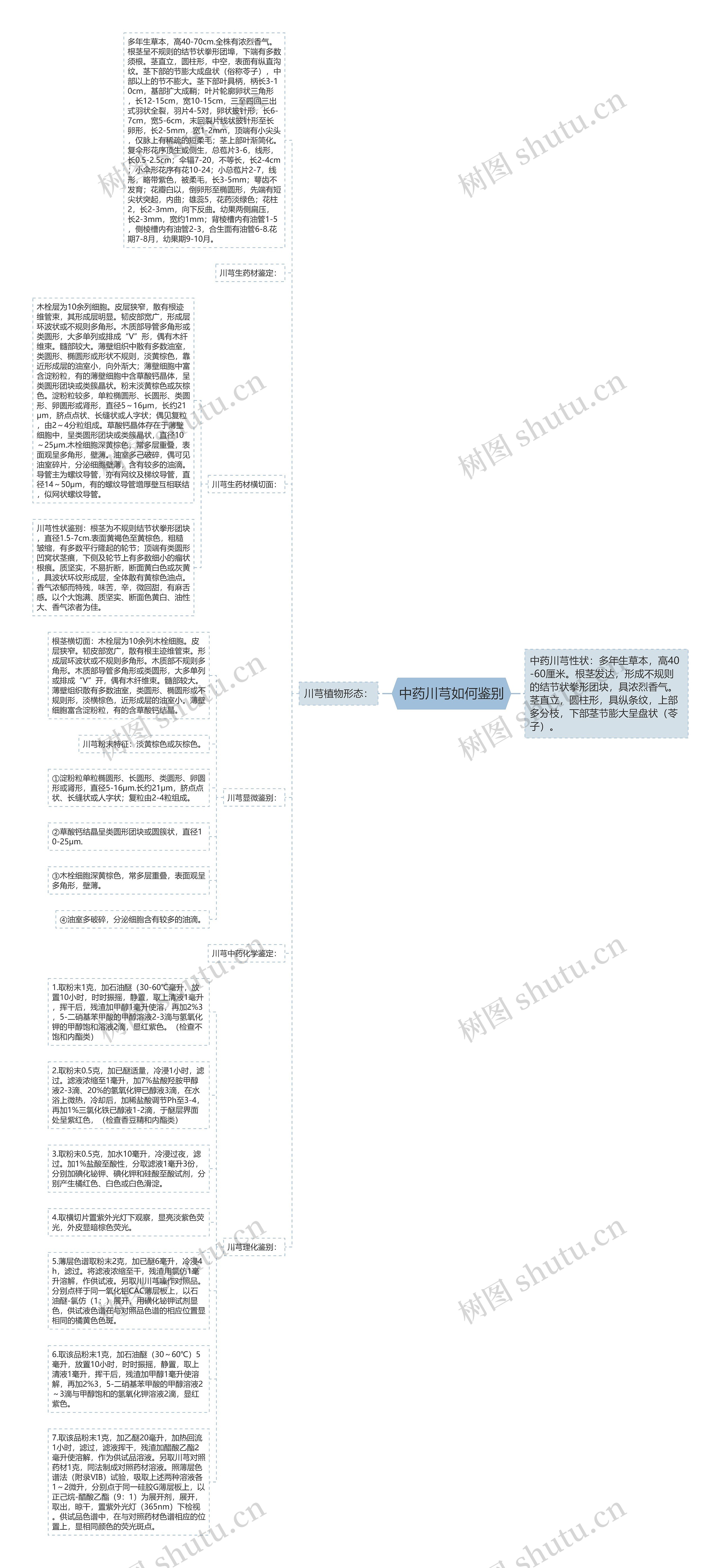 中药川芎如何鉴别思维导图