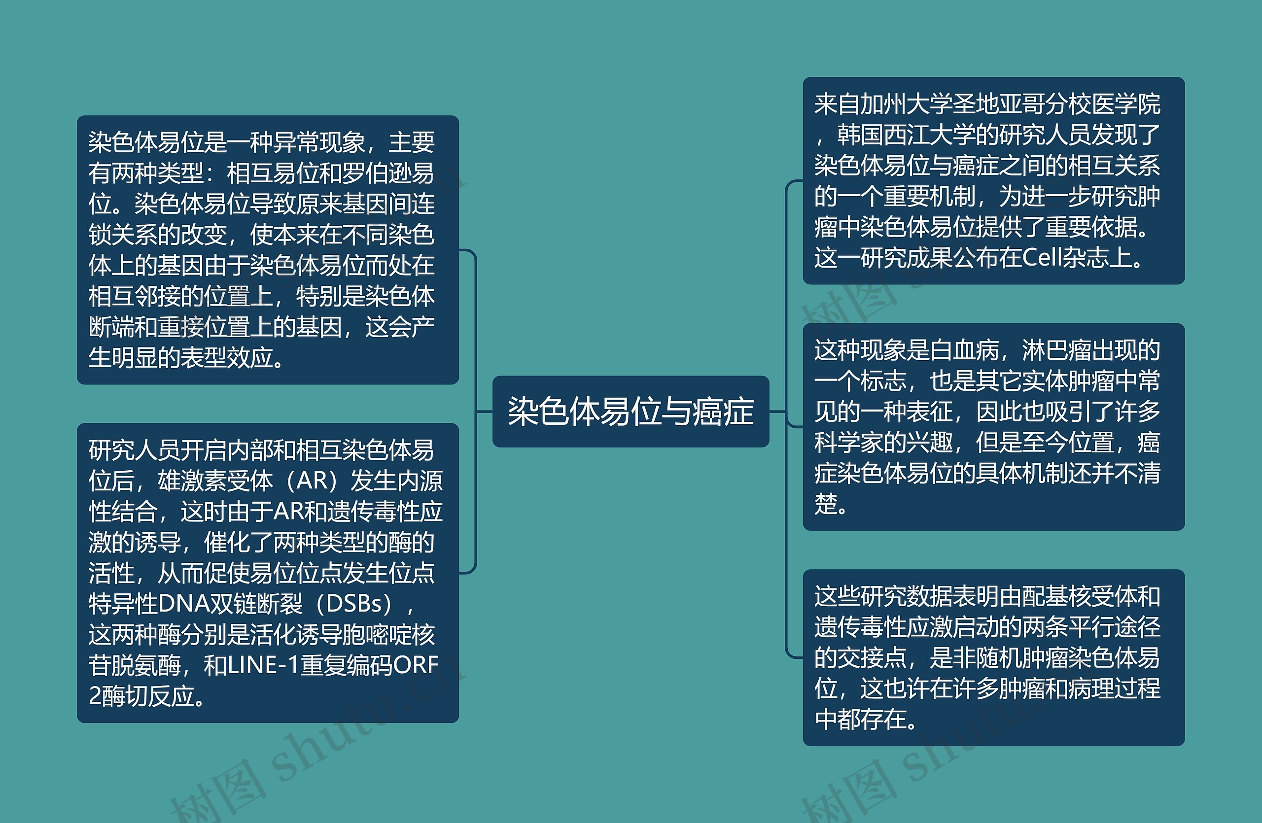 染色体易位与癌症思维导图