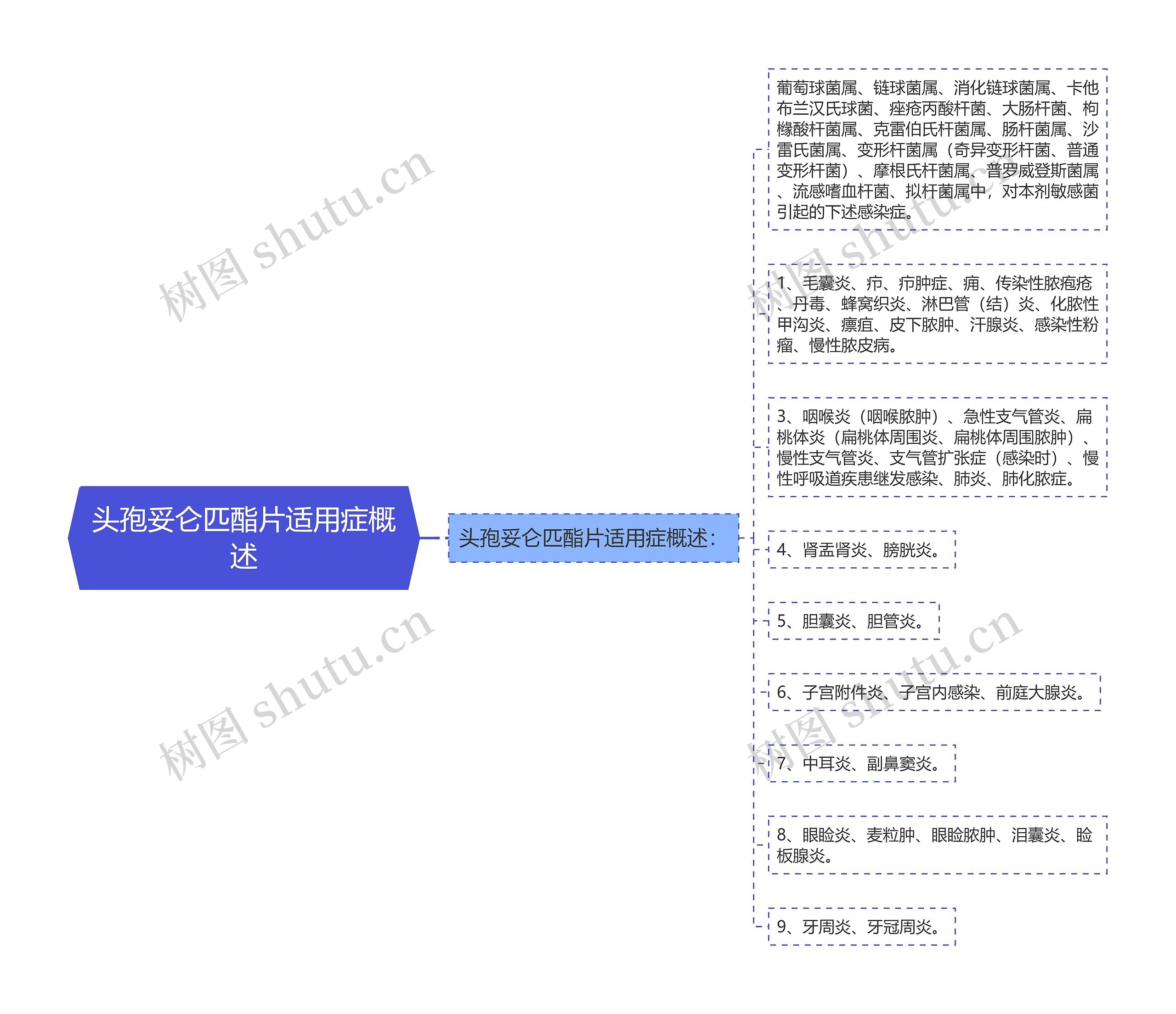 头孢妥仑匹酯片适用症概述思维导图