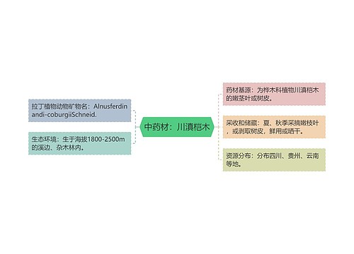 中药材：川滇桤木