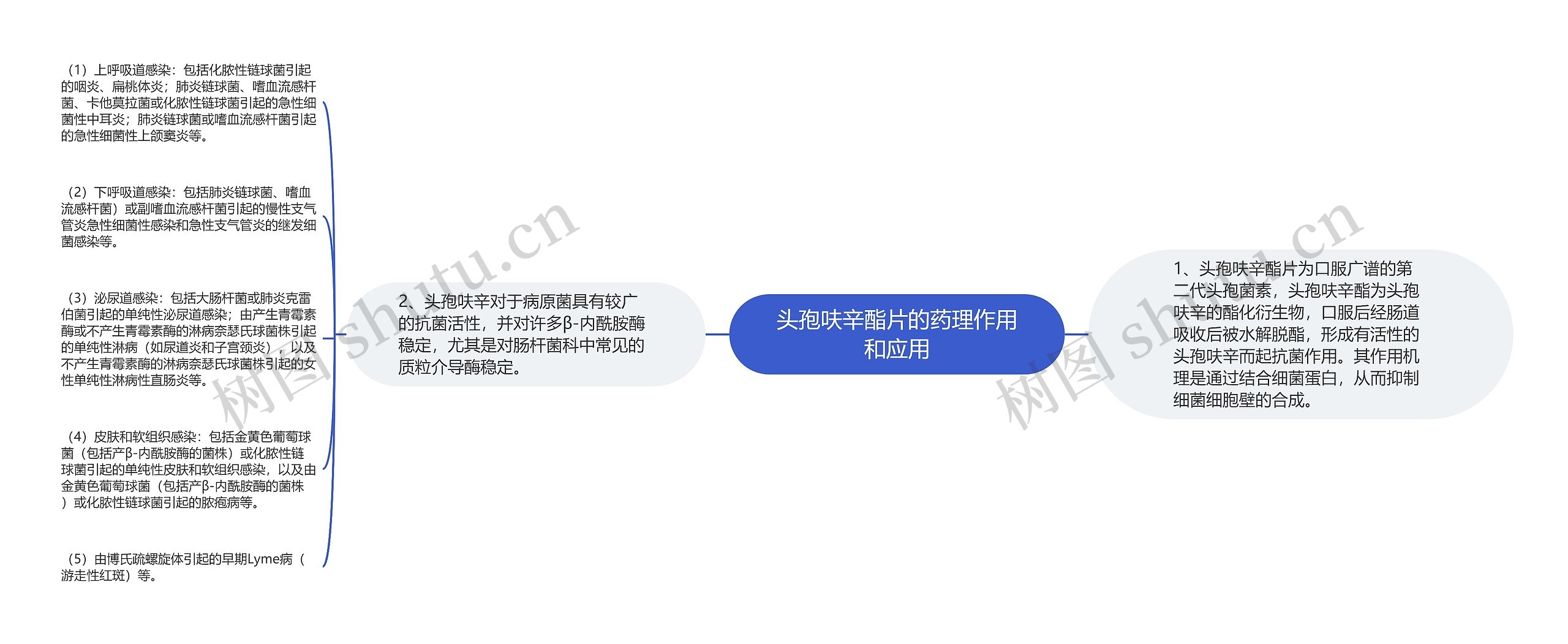 头孢呋辛酯片的药理作用和应用 头孢呋辛酯片的药理作用和应用