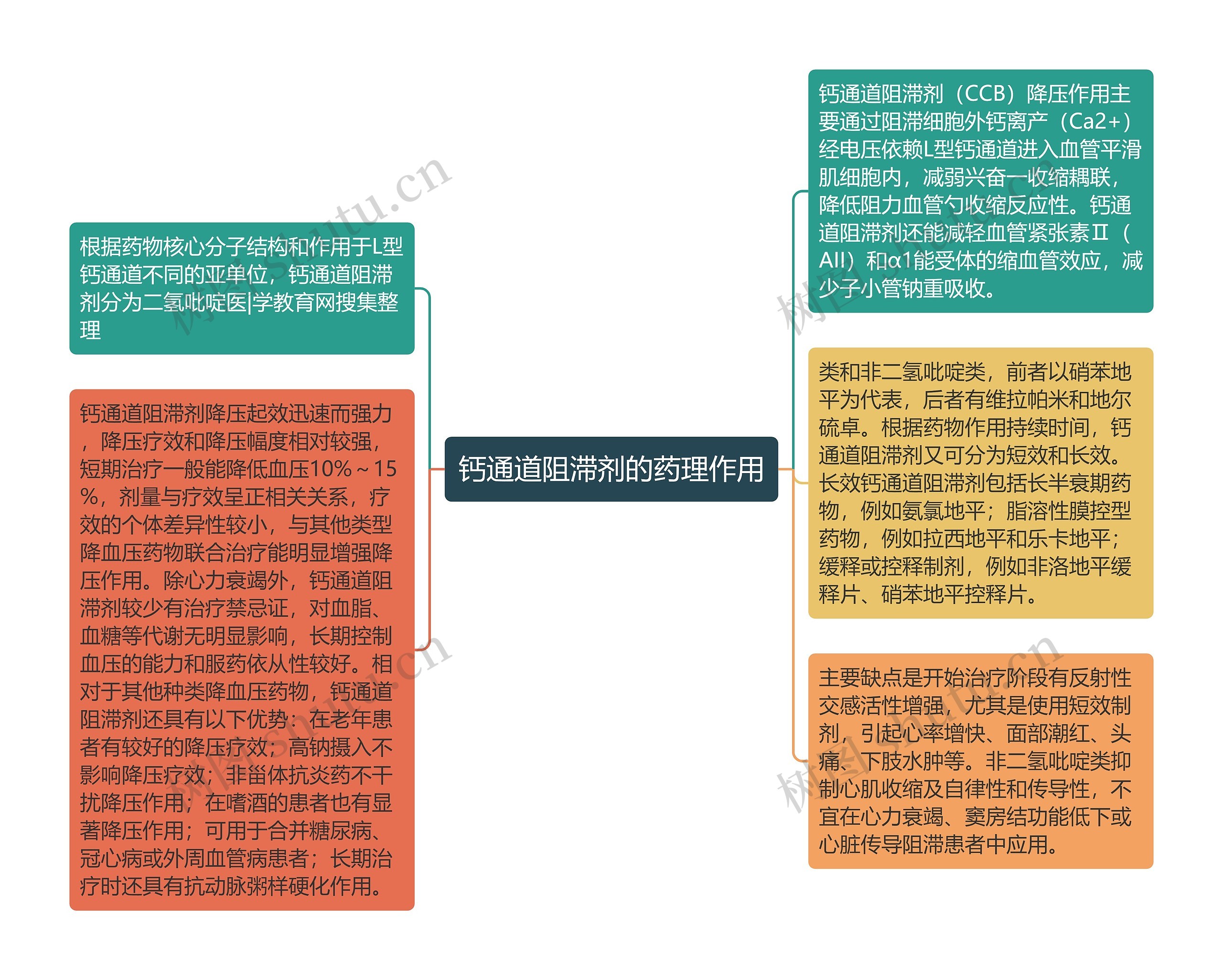 钙通道阻滞剂的药理作用思维导图