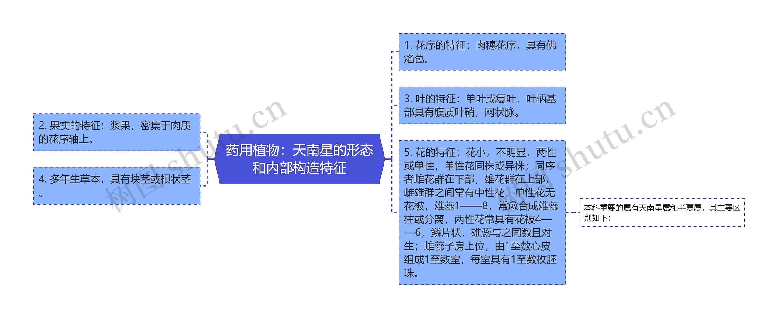 药用植物：天南星的形态和内部构造特征思维导图